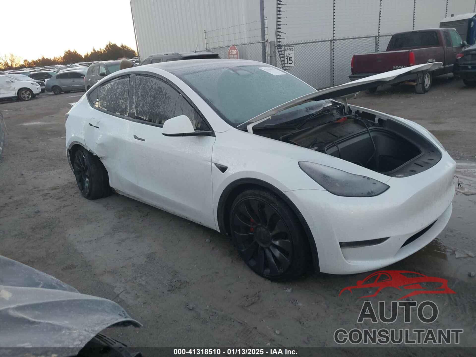 TESLA MODEL Y 2022 - 7SAYGDEF8NF550979