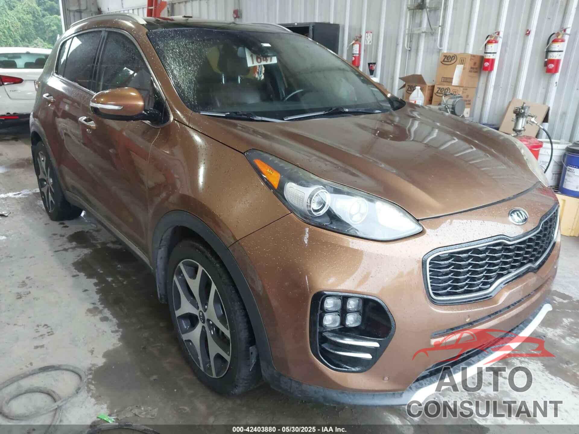 KIA SPORTAGE 2017 - KNDPR3A6XH7167204