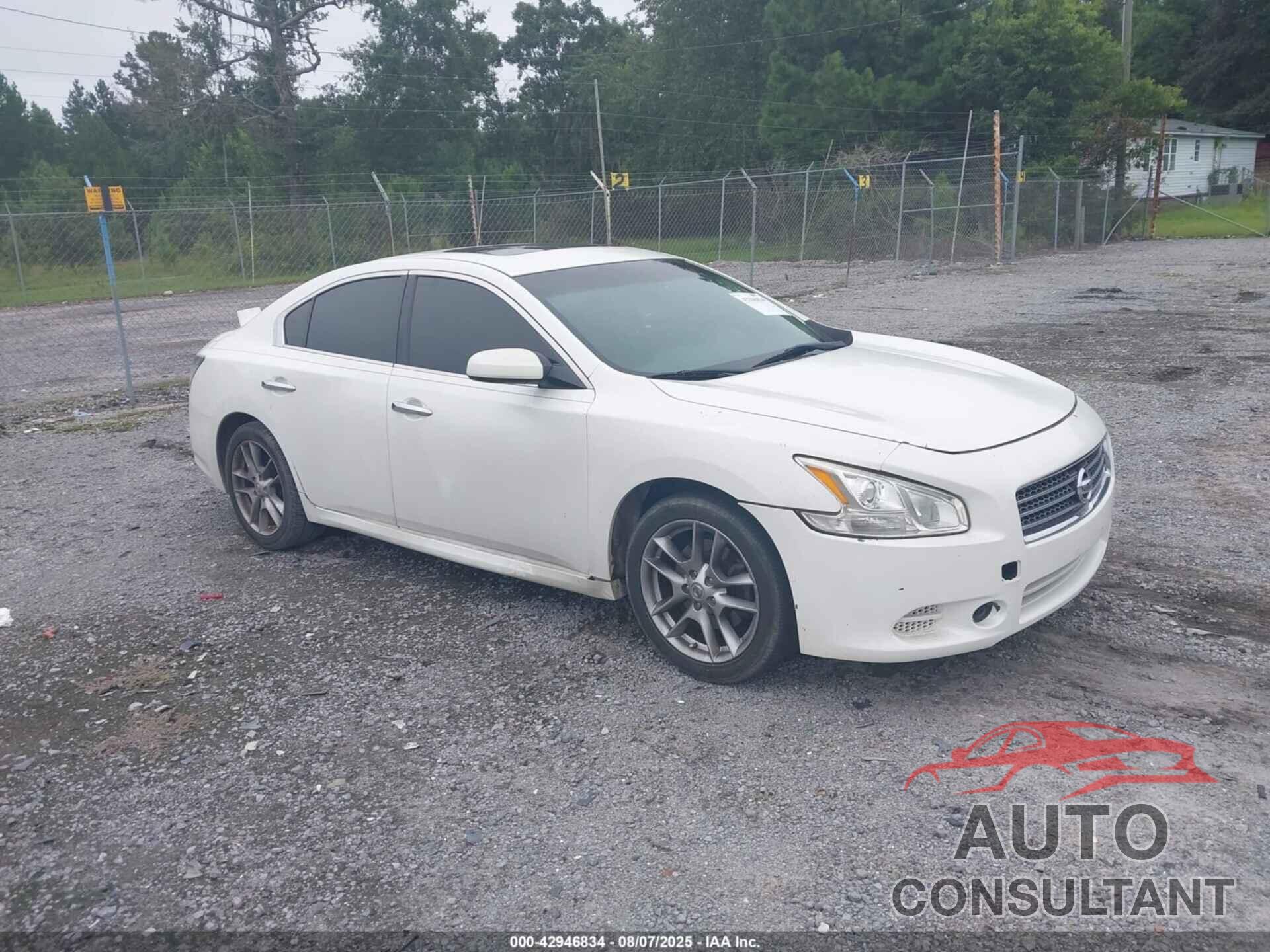 NISSAN MAXIMA 2013 - 1N4AA5AP0DC800303