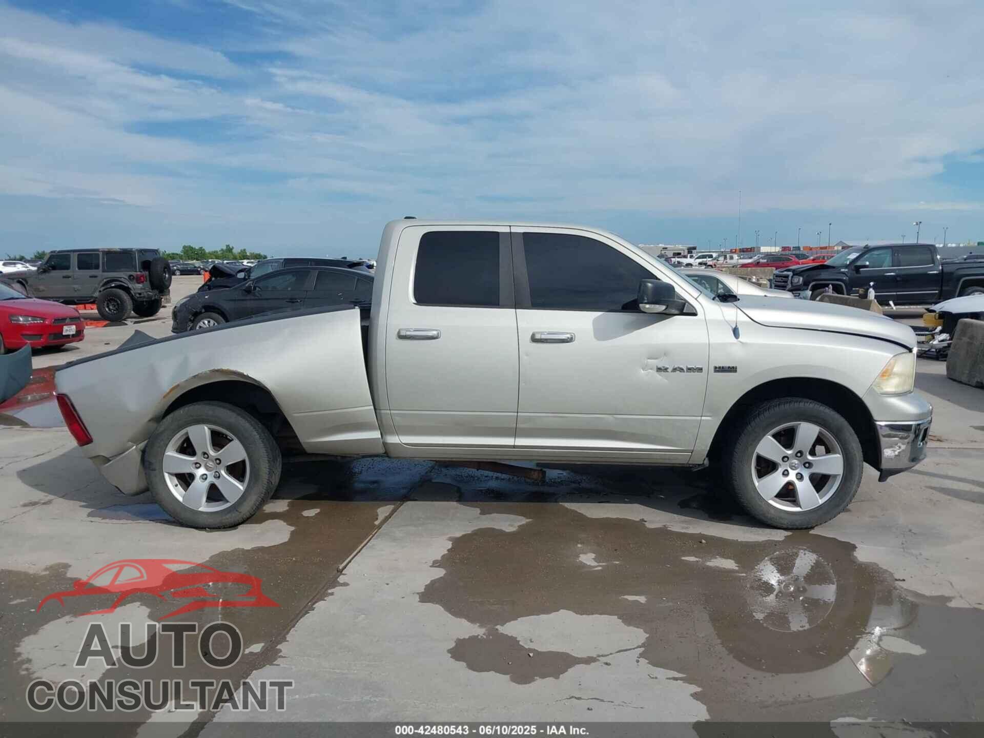 DODGE RAM 1500 2010 - 1D7RB1GT2AS194789
