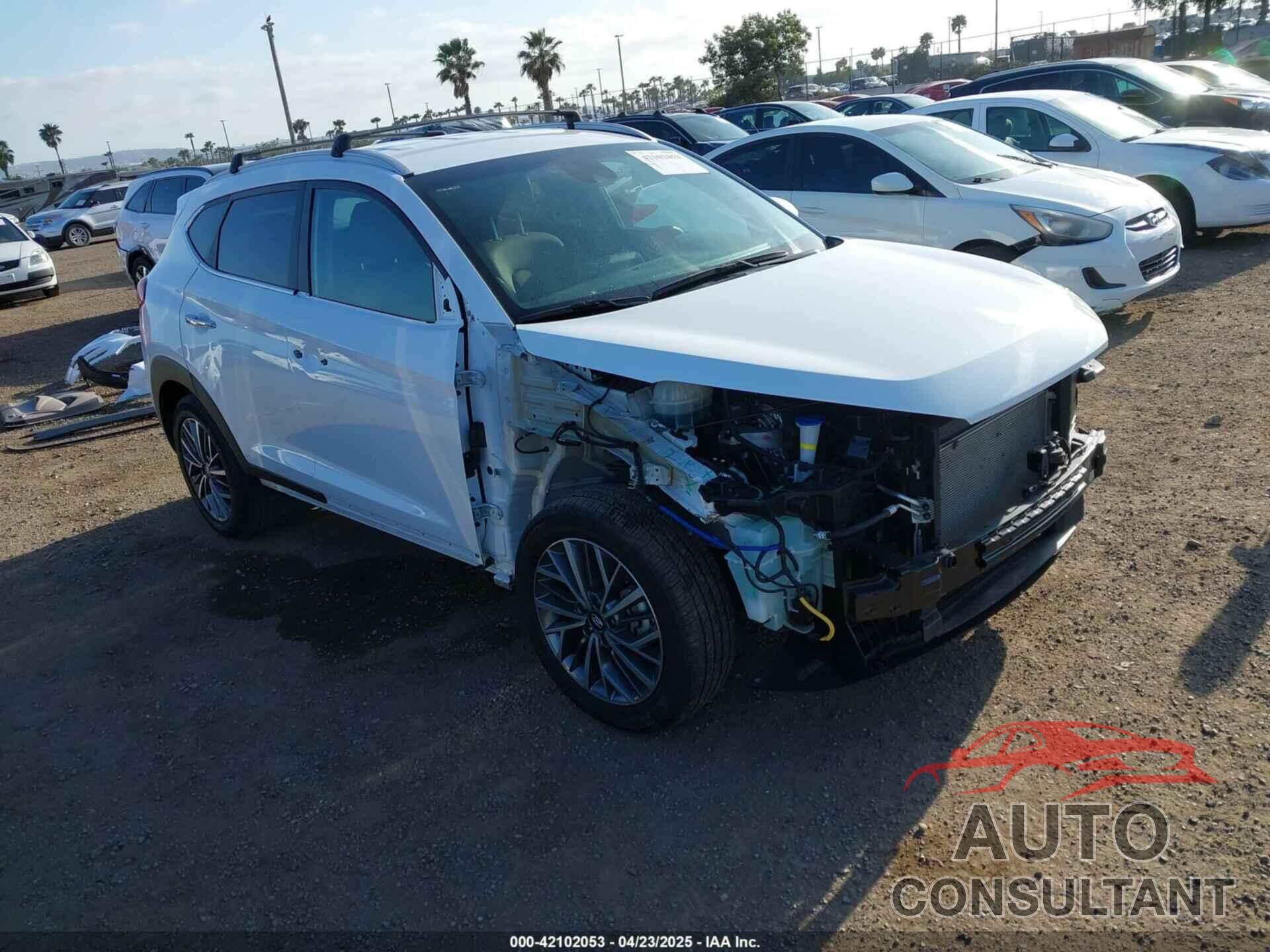 HYUNDAI TUCSON 2019 - KM8J33AL5KU024680