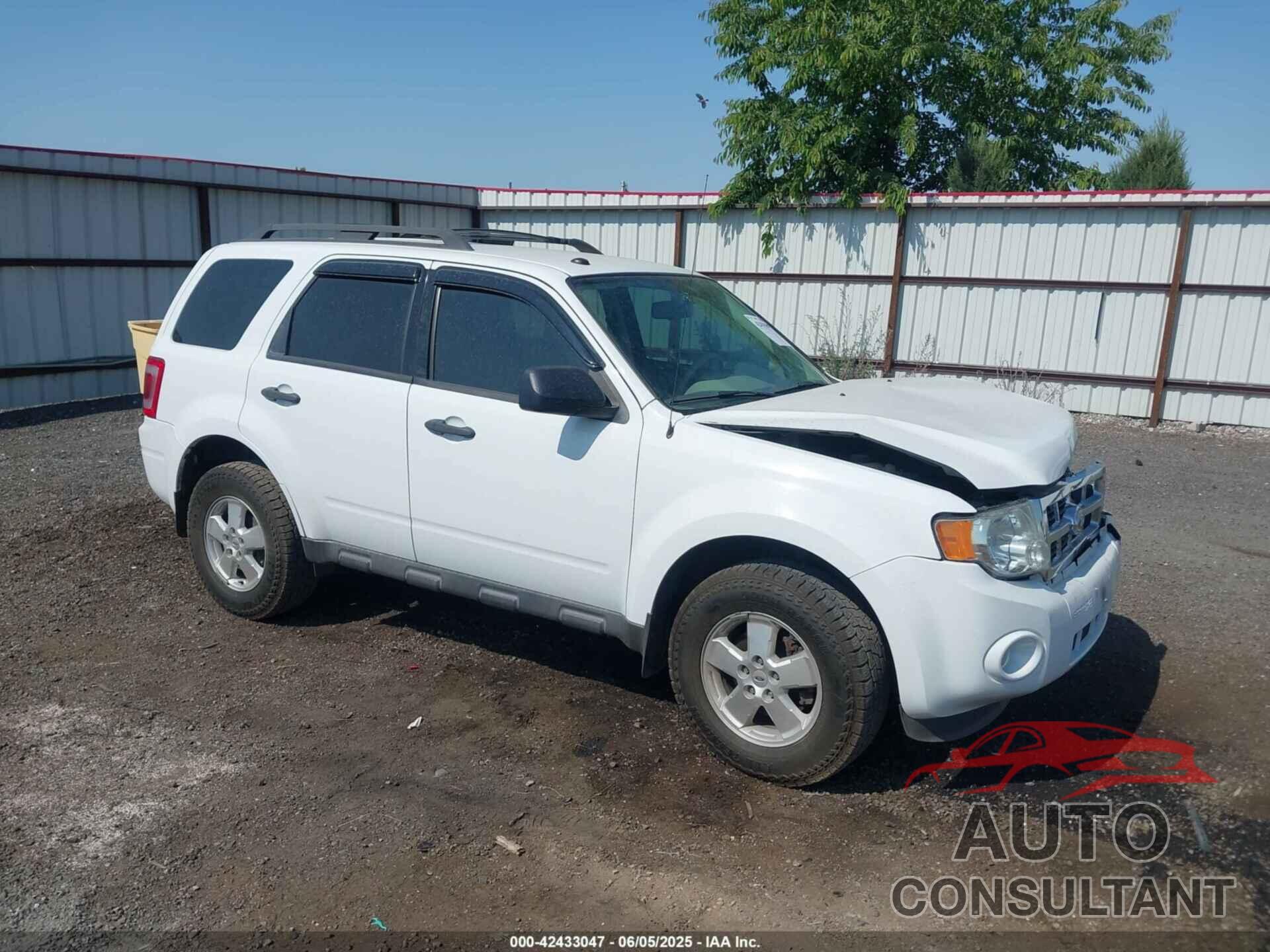 FORD ESCAPE 2011 - 1FMCU9DGXBKC53942