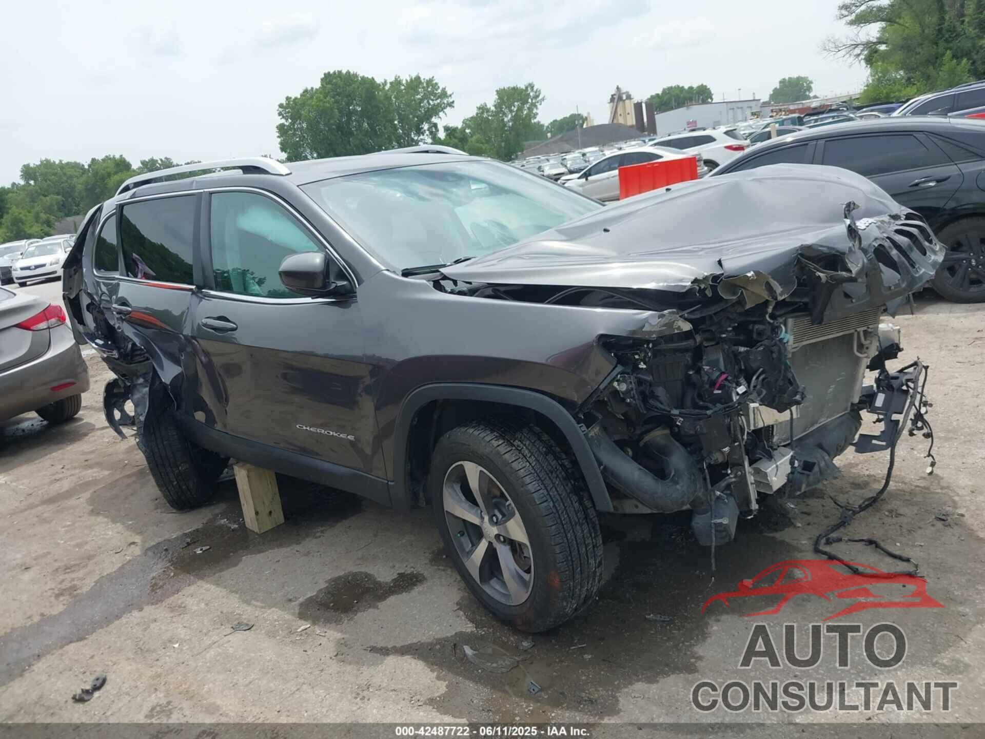 JEEP CHEROKEE 2019 - 1C4PJMDX8KD229354