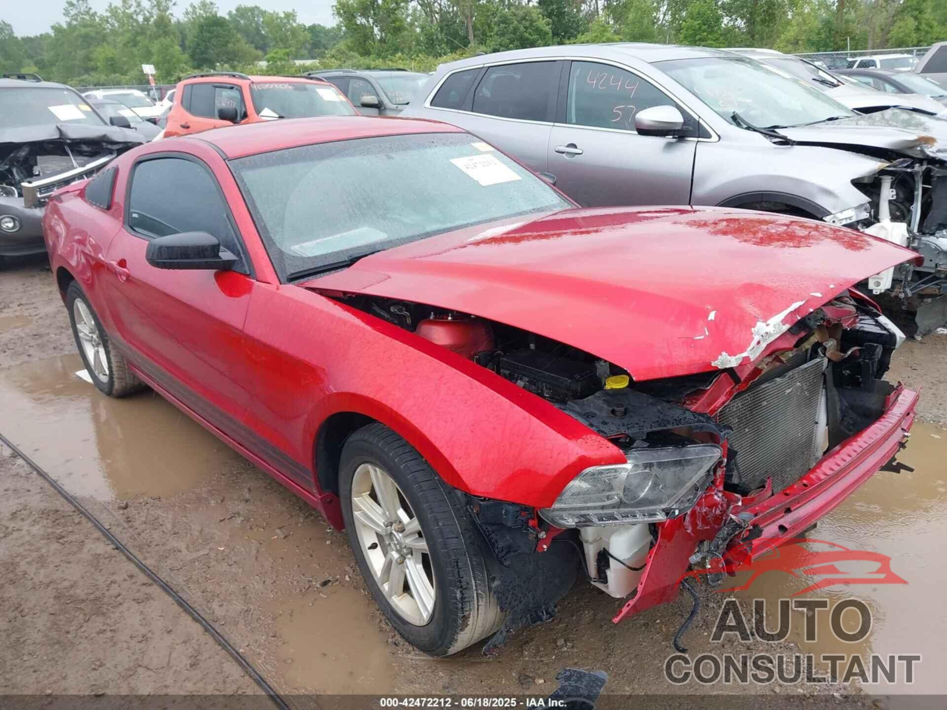 FORD MUSTANG 2013 - 1ZVBP8AM6D5266696