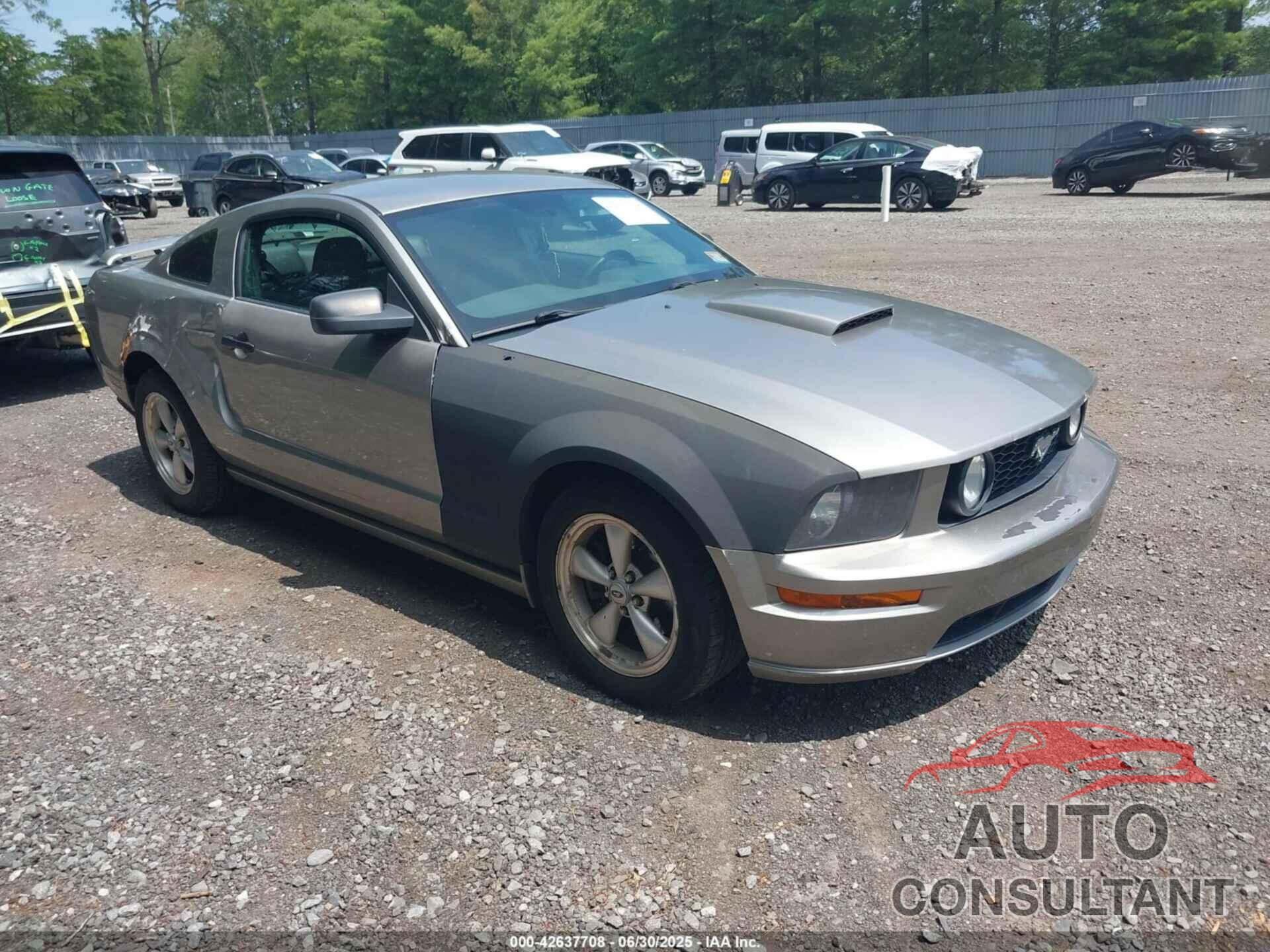 FORD MUSTANG 2009 - 1ZVHT82H095133740