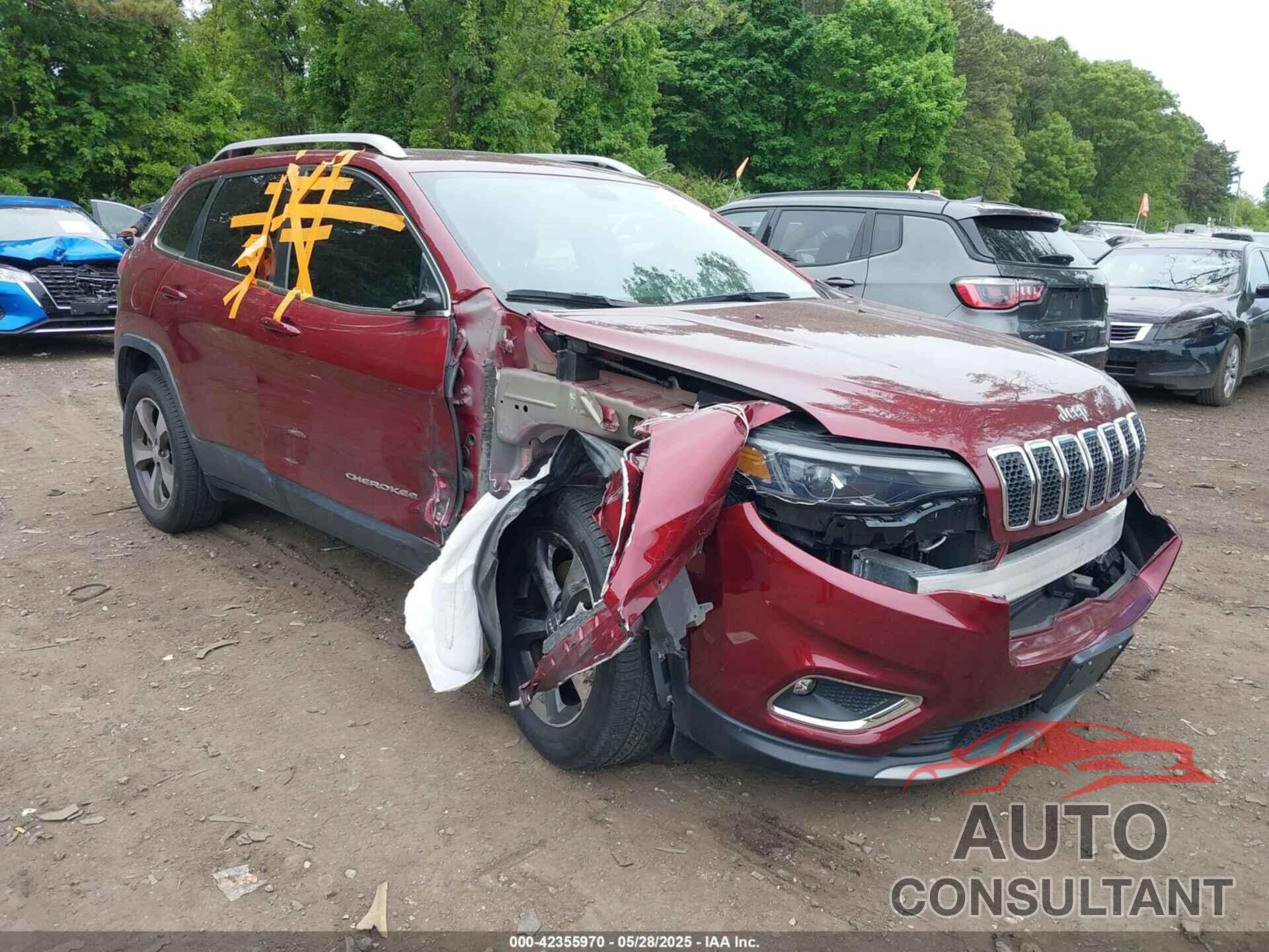 JEEP CHEROKEE 2019 - 1C4PJMDN0KD363421