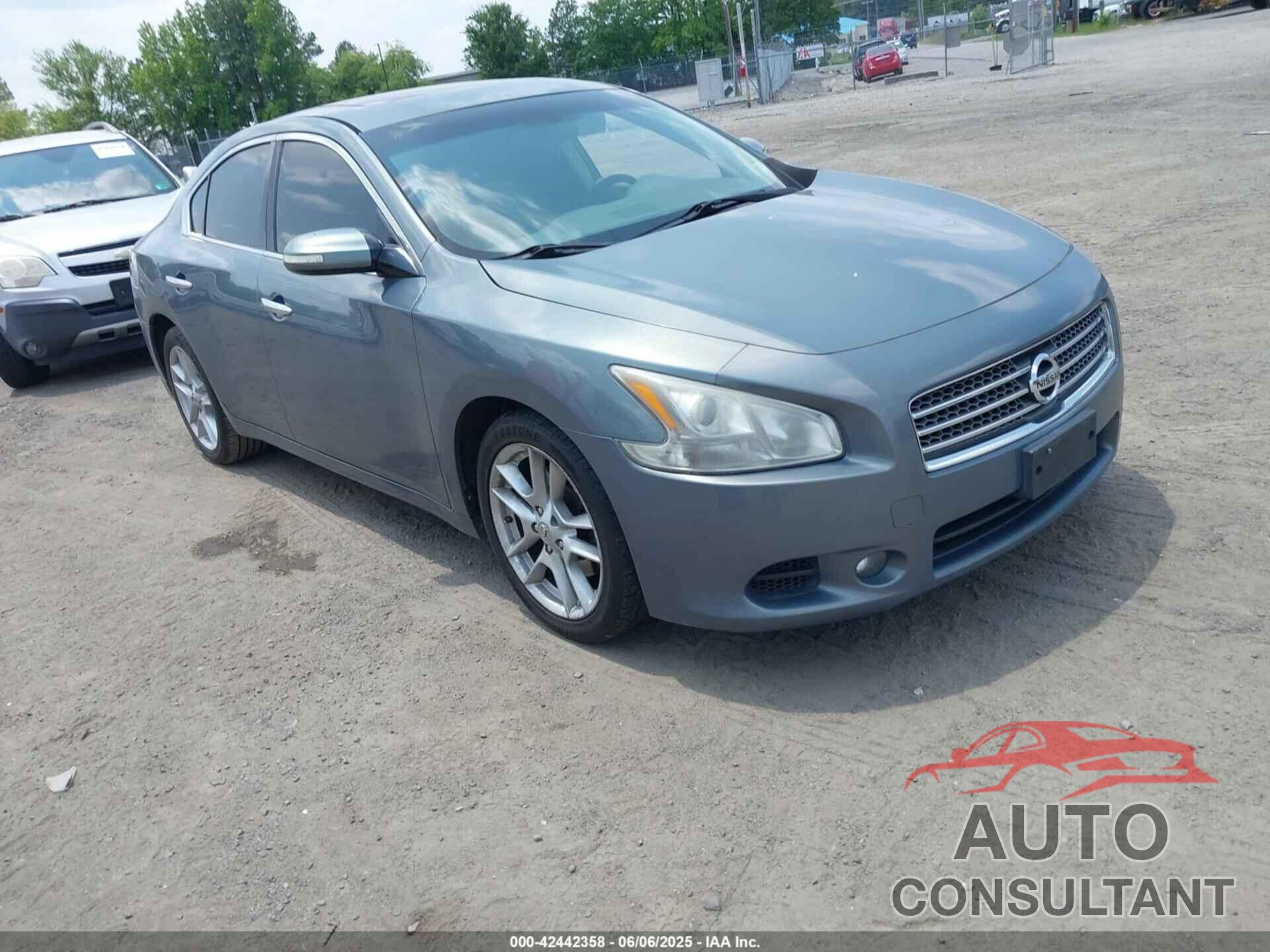 NISSAN MAXIMA 2009 - 1N4AA51E69C813711