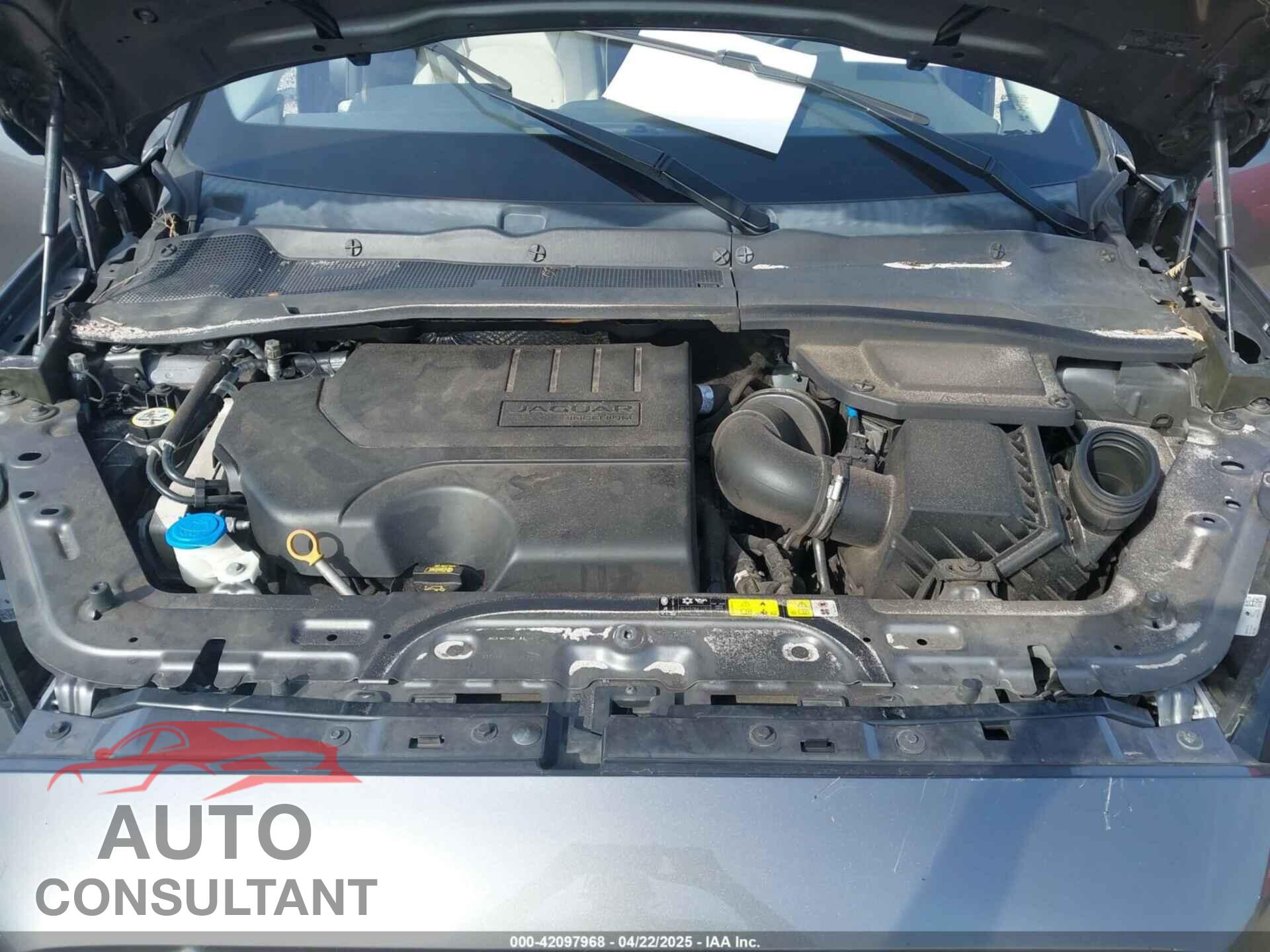JAGUAR E-PACE 2020 - SADFP2FX4L1Z88845