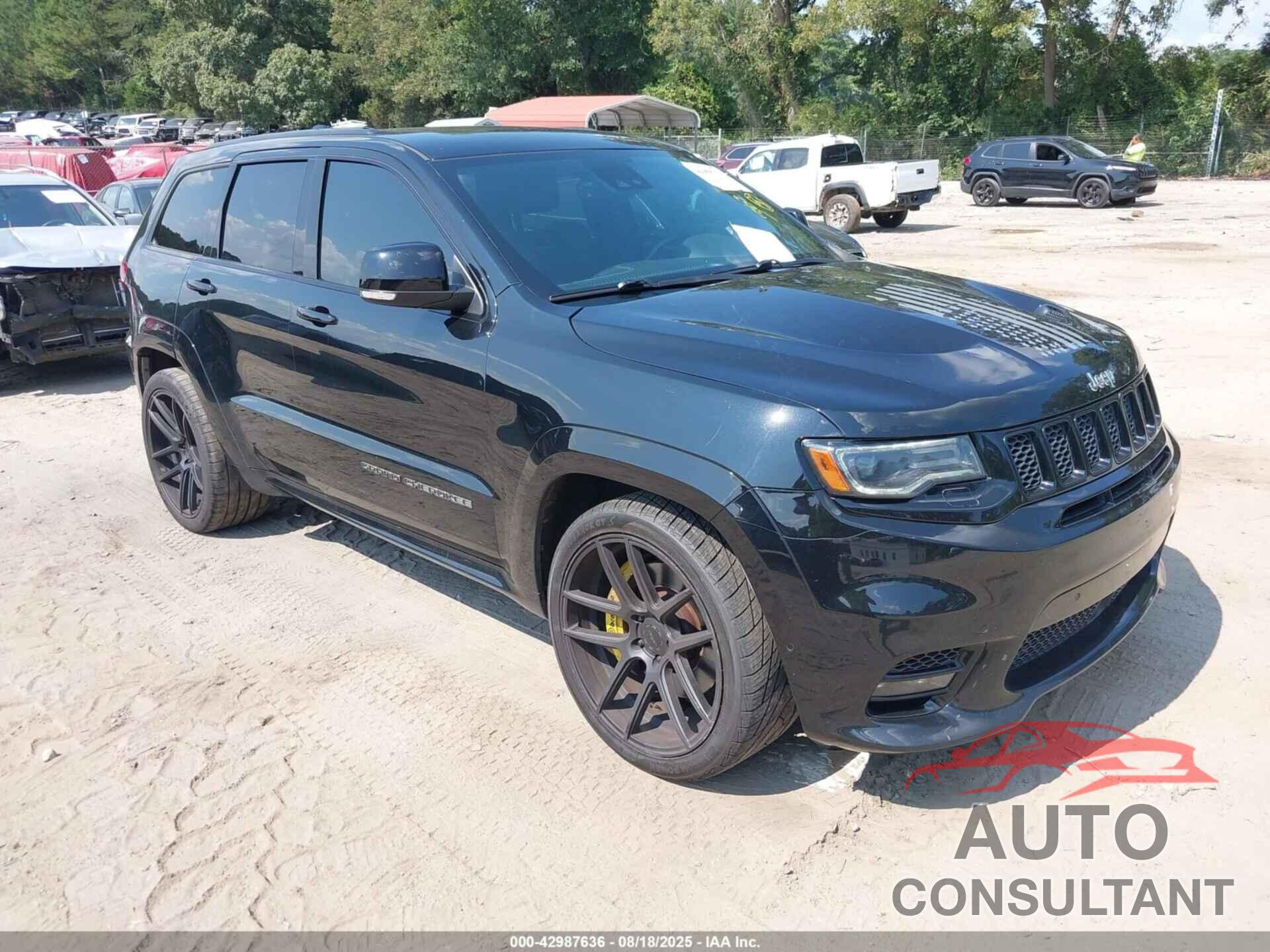 JEEP GRAND CHEROKEE 2017 - 1C4RJFDJXHC955764