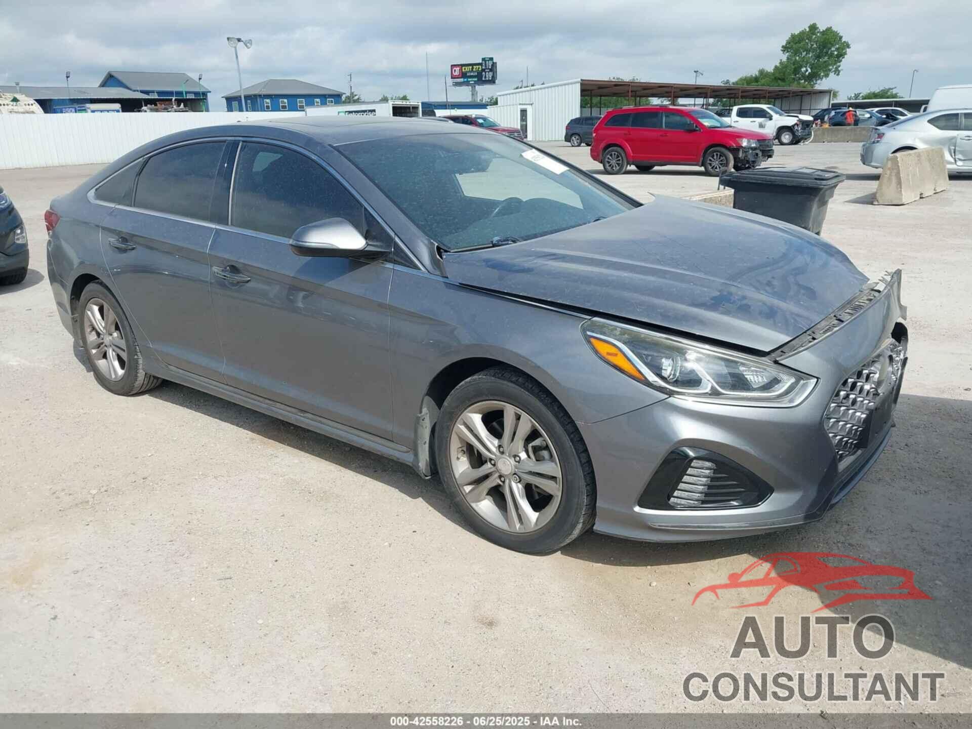 HYUNDAI SONATA 2019 - 5NPE34AF3KH771503