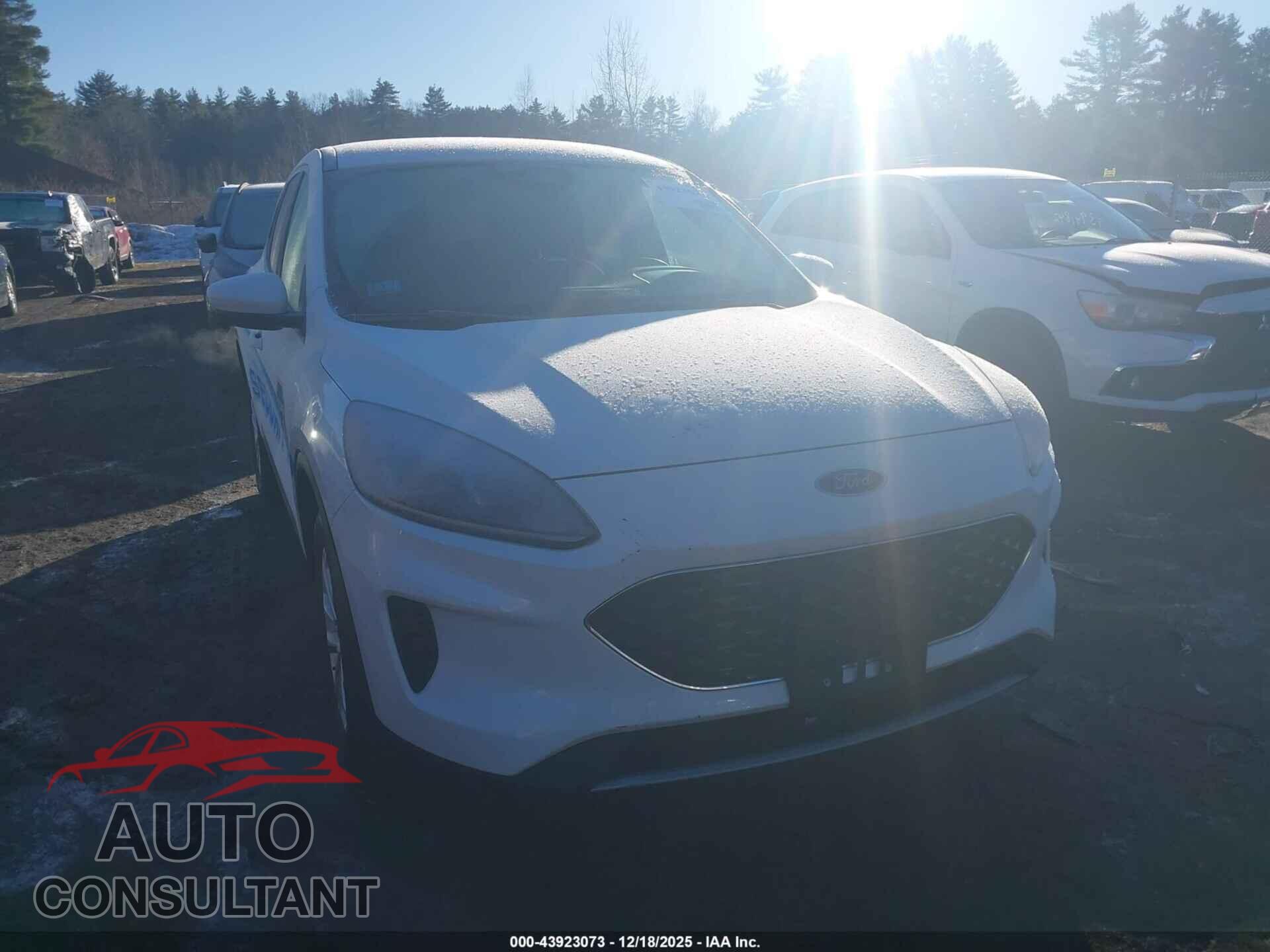 FORD ESCAPE 2020 - 1FMCU9G61LUA33663