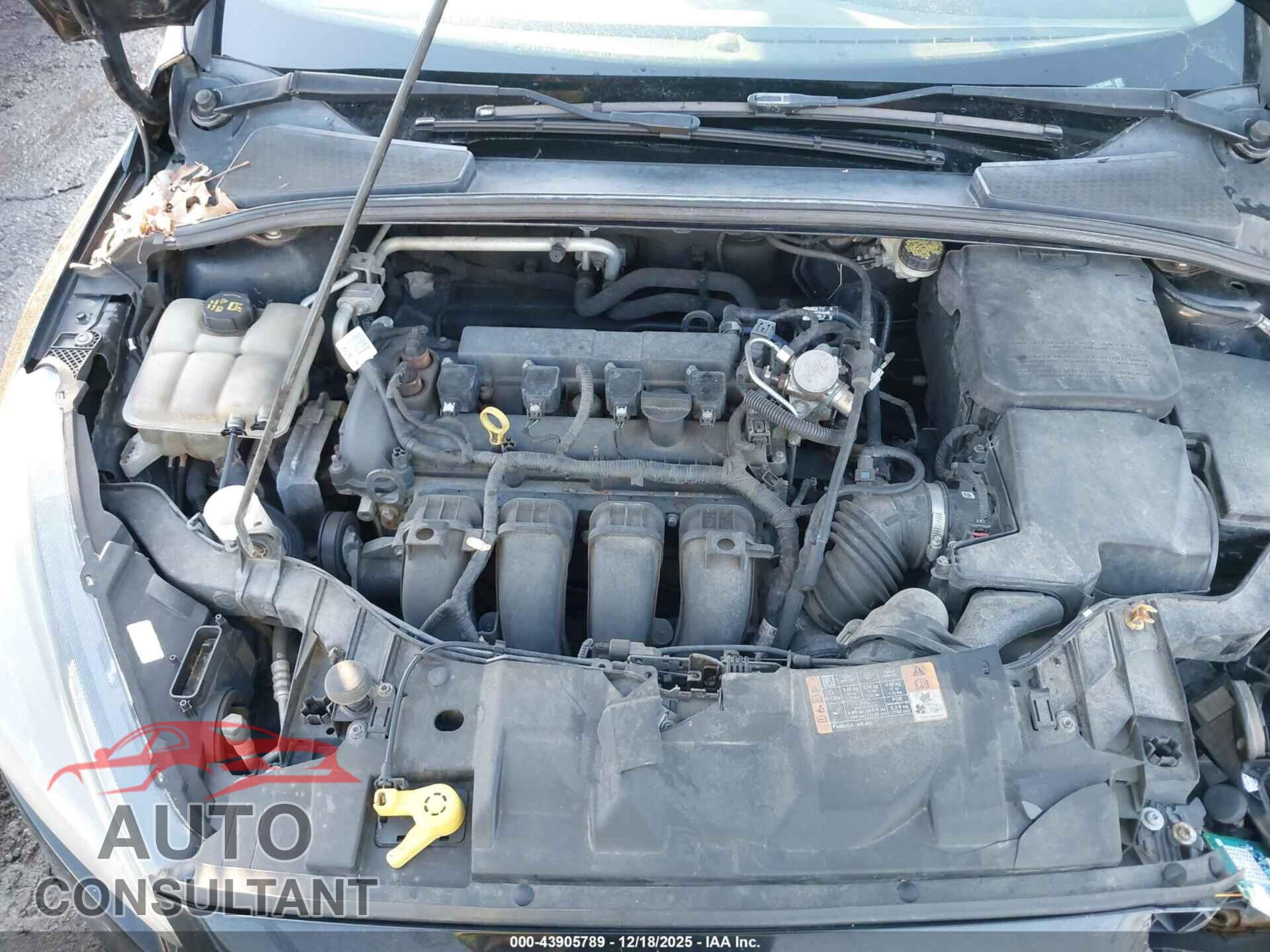 FORD FOCUS 2016 - 1FADP3K25GL332480