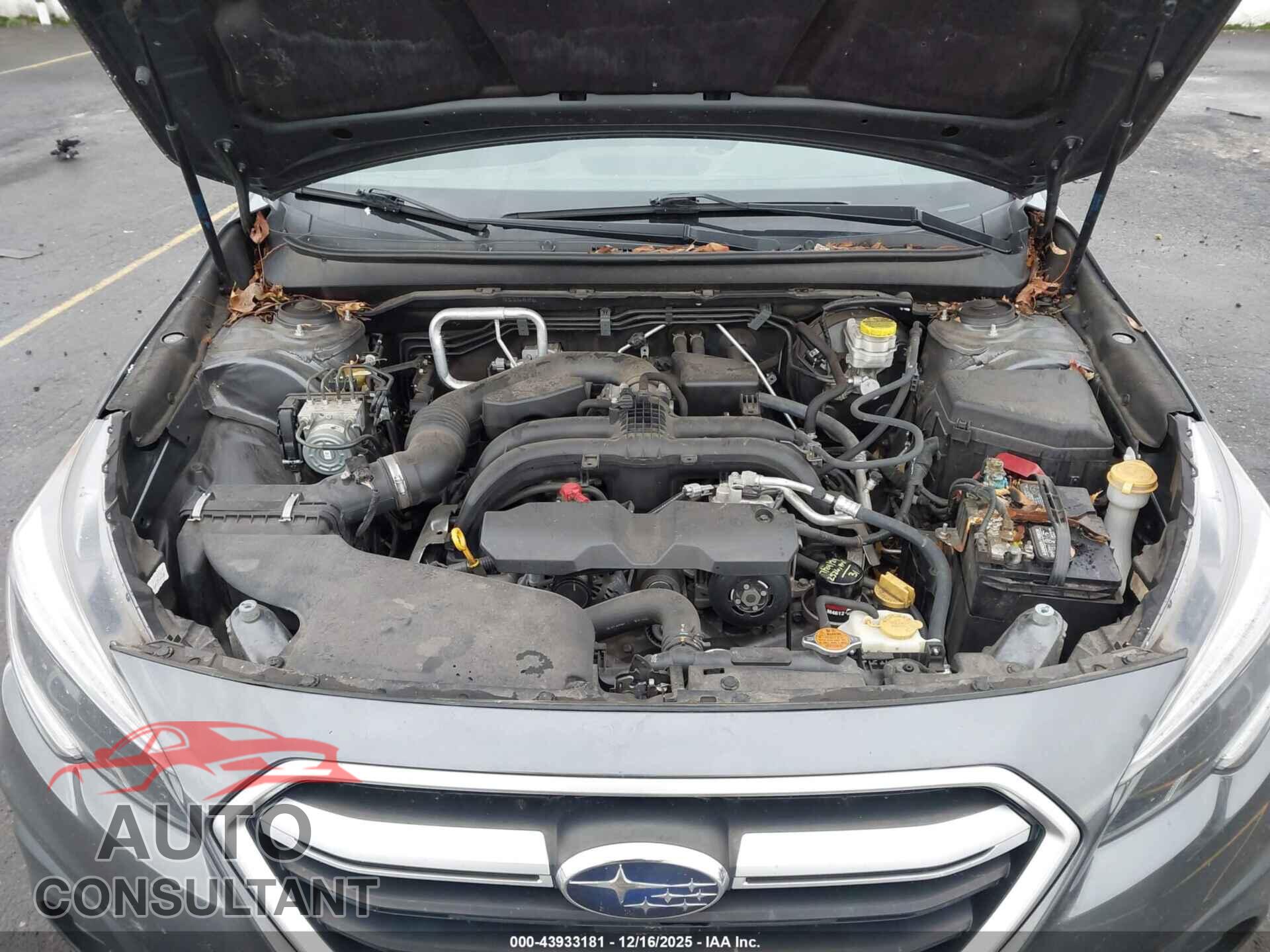 SUBARU OUTBACK 2019 - 4S4BSABC1K3290505