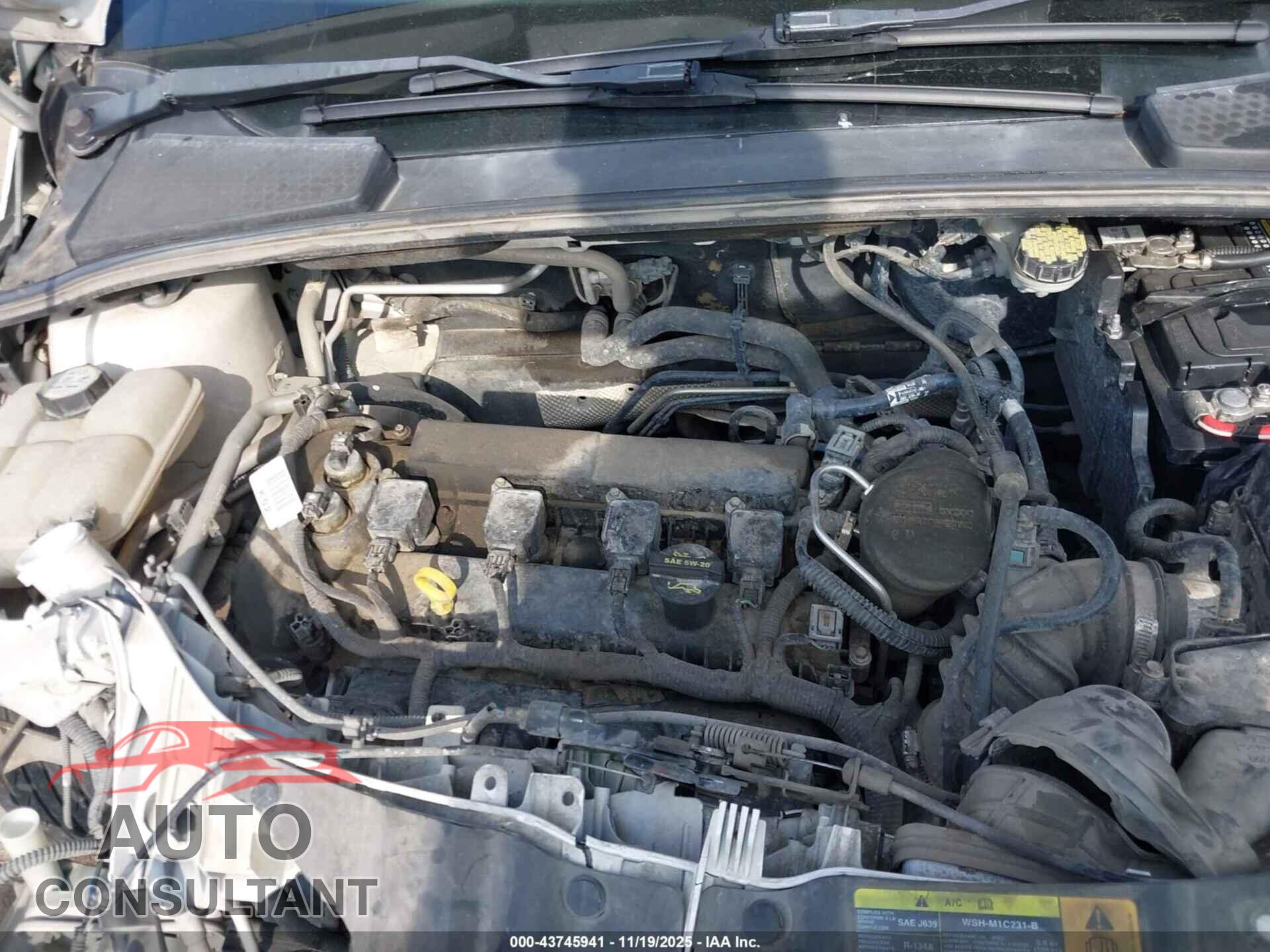 FORD FOCUS 2012 - 1FAHP3M26CL354948