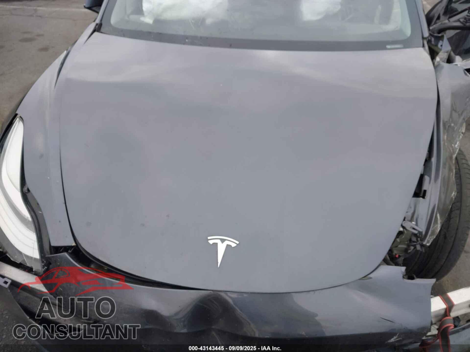 TESLA MODEL 3 2021 - 5YJ3E1EA7MF851080