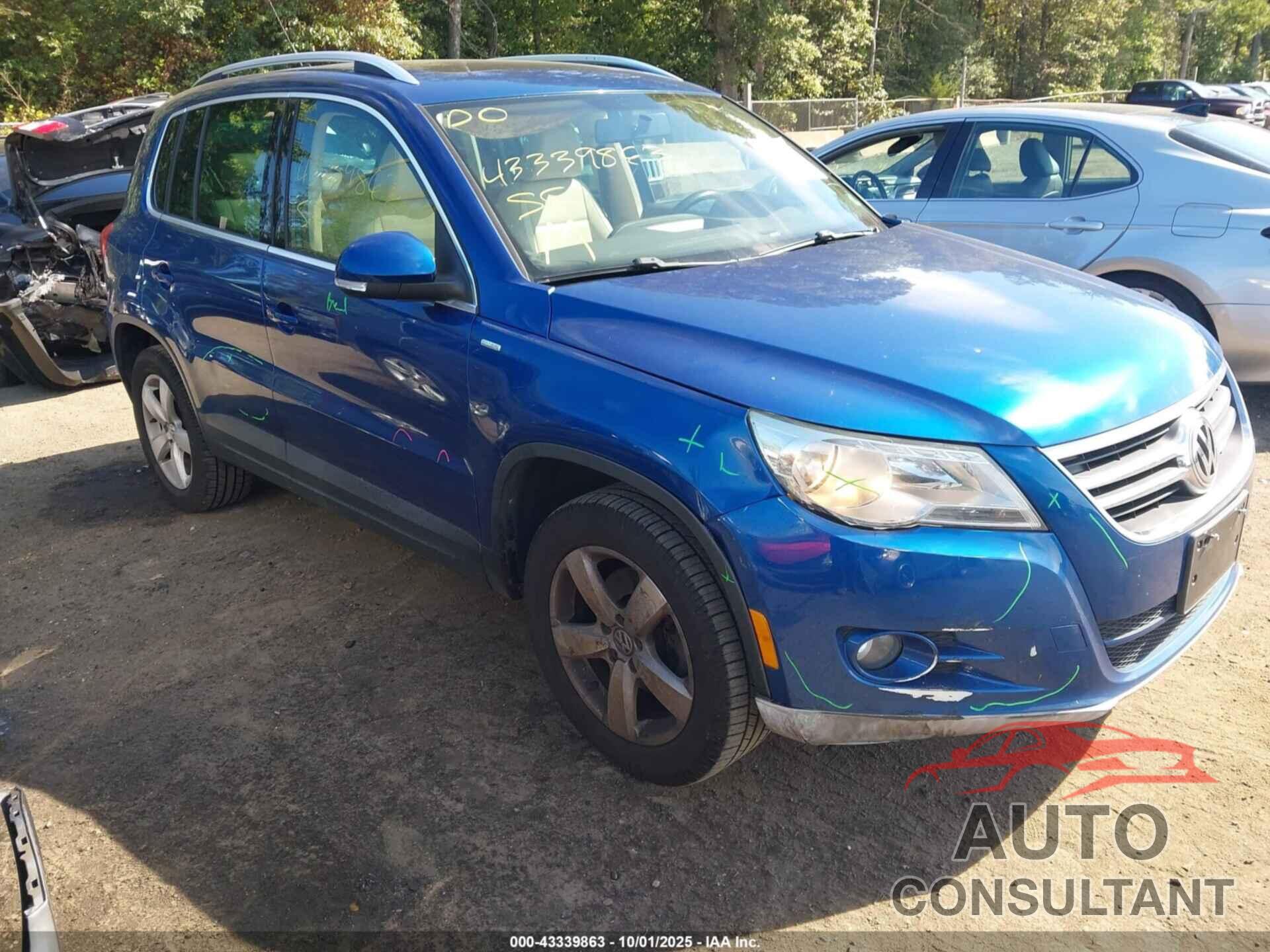 VOLKSWAGEN TIGUAN 2010 - WVGAV9AXXAW003911