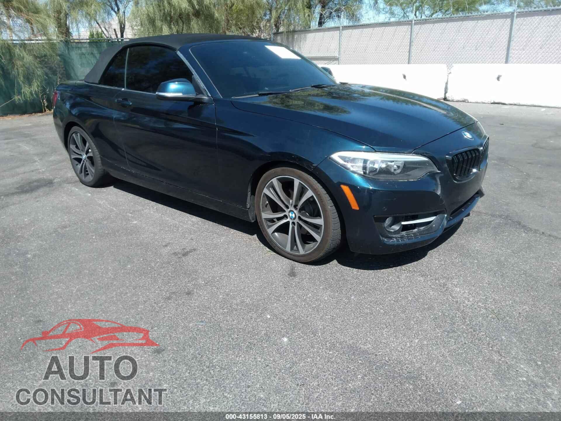 BMW 228I 2016 - WBA1L9C58GV324315
