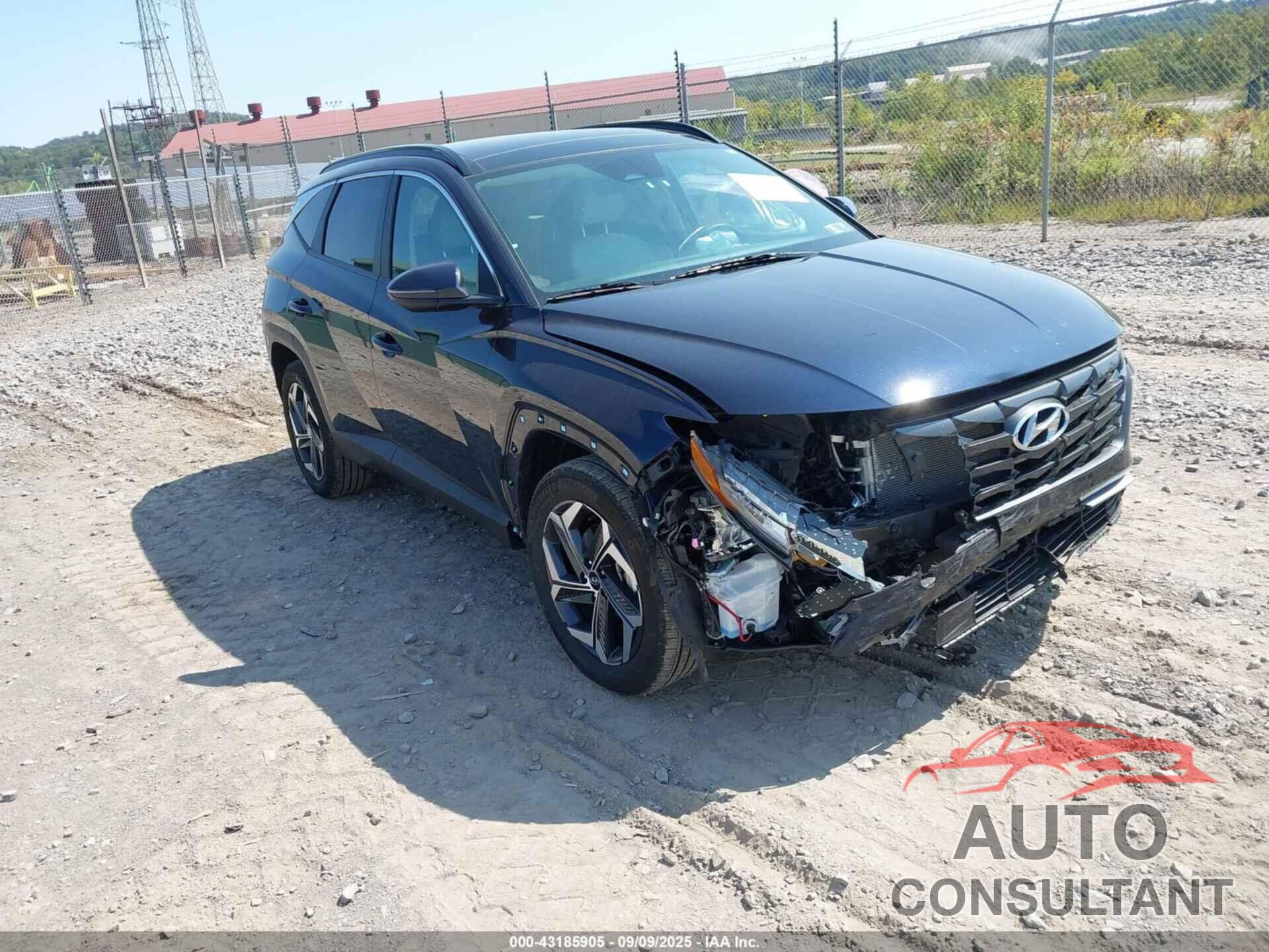 HYUNDAI TUCSON HYBRID 2024 - KM8JCCD17RU140306