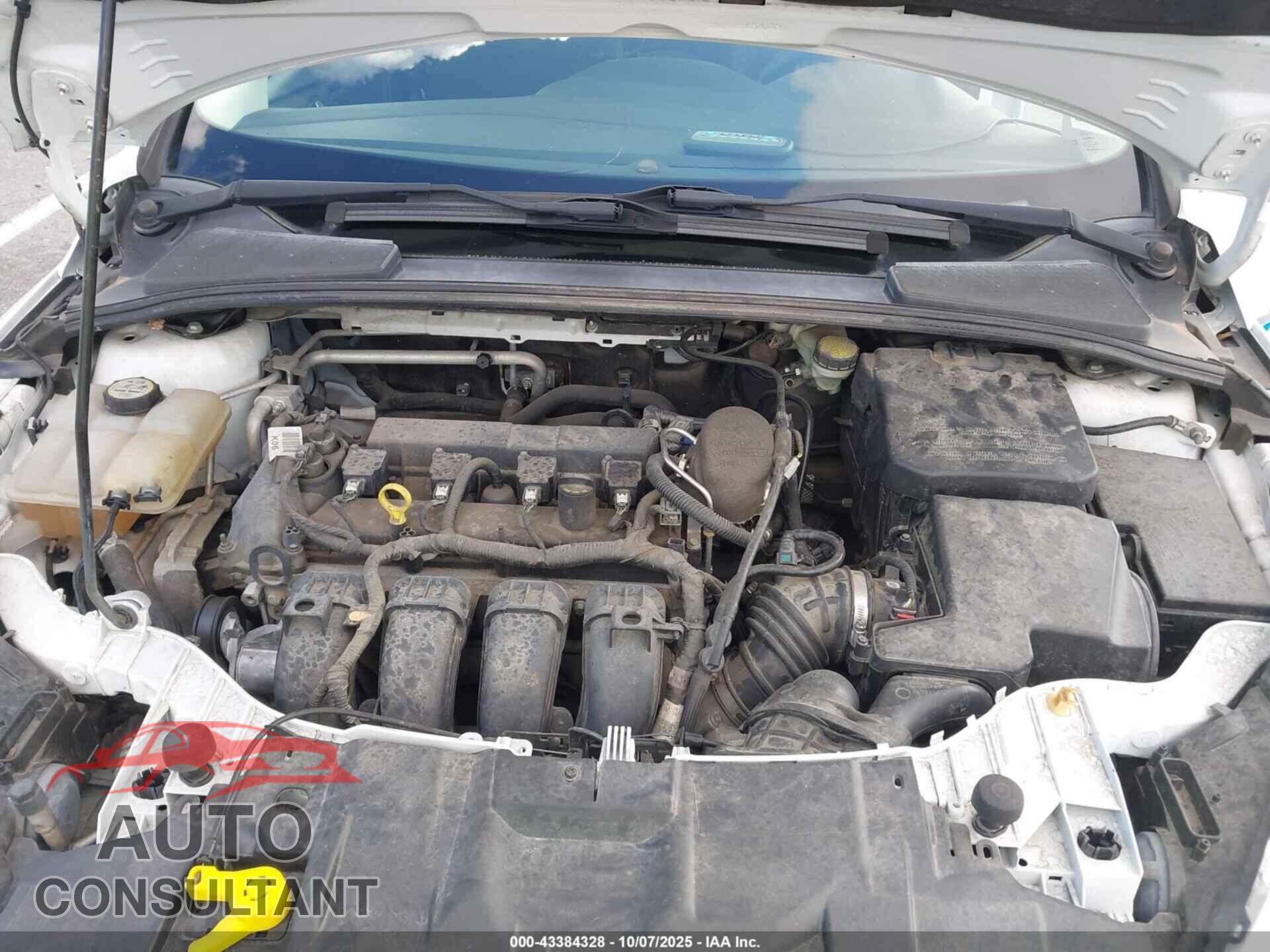 FORD FOCUS 2016 - 1FADP3F26GL304567