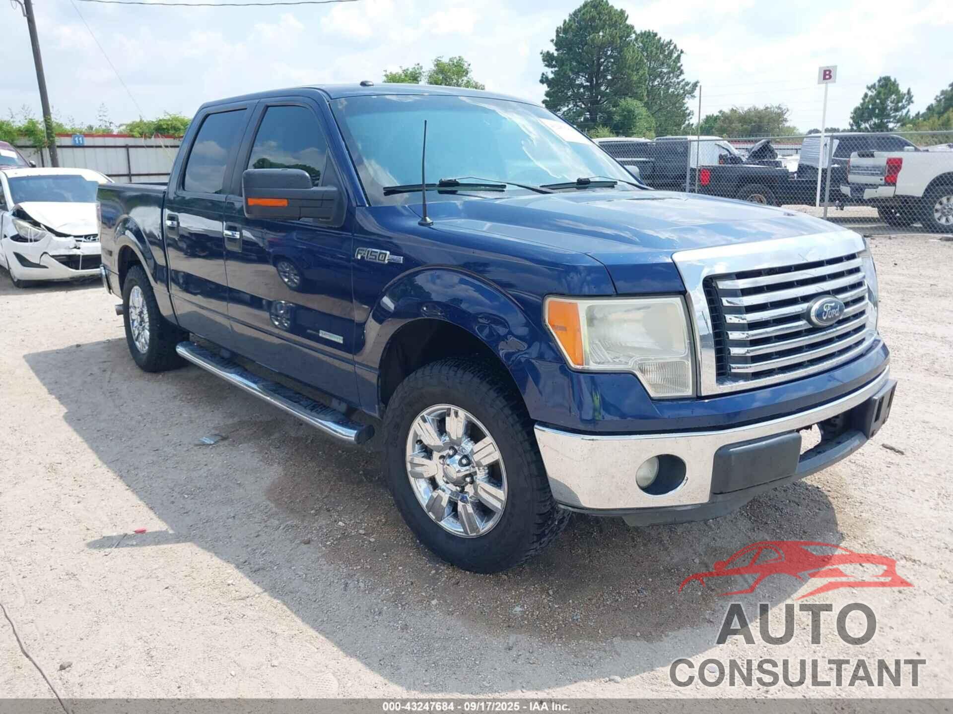 FORD F-150 2012 - 1FTFW1CT5CFA04065