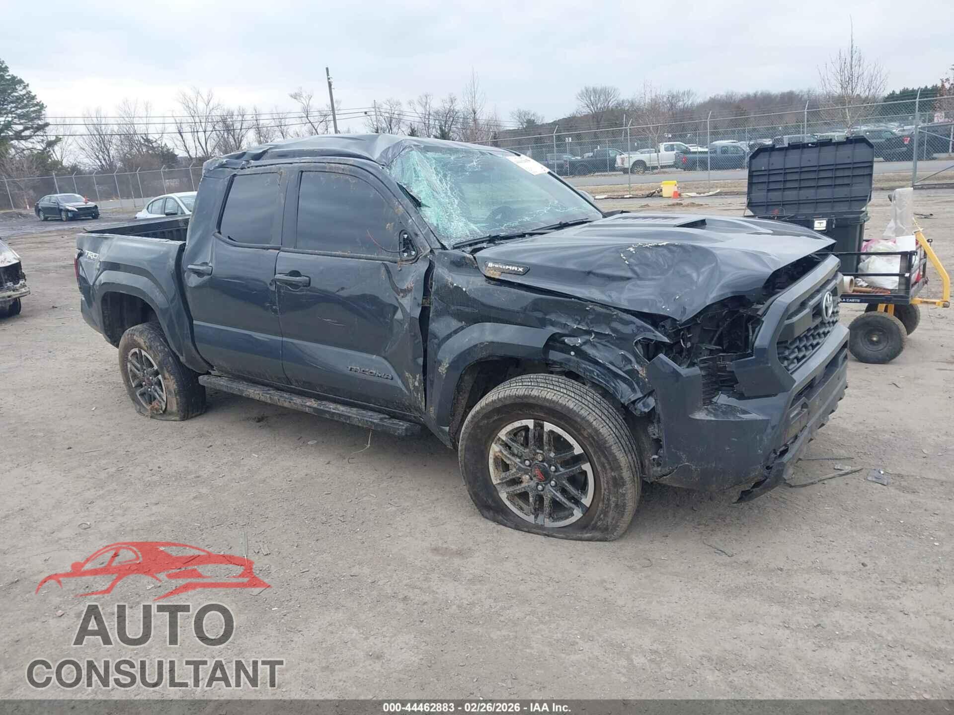 TOYOTA TACOMA HYBRID 2024 - 3TYLC5LNXRT004256
