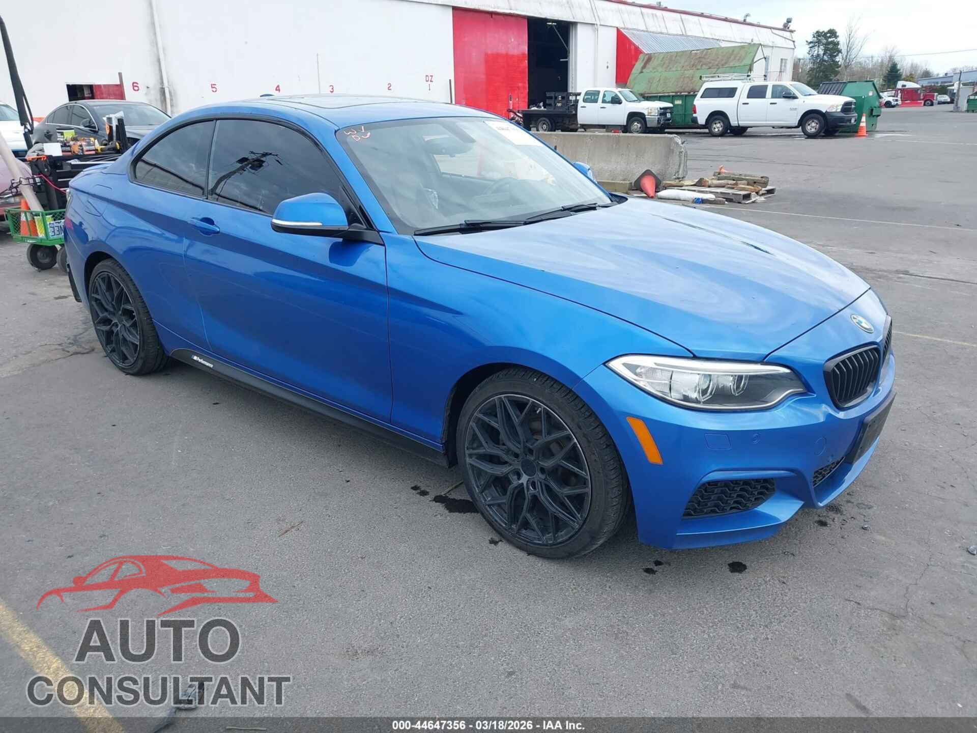 BMW 228I 2016 - WBA1G9C52GV599750