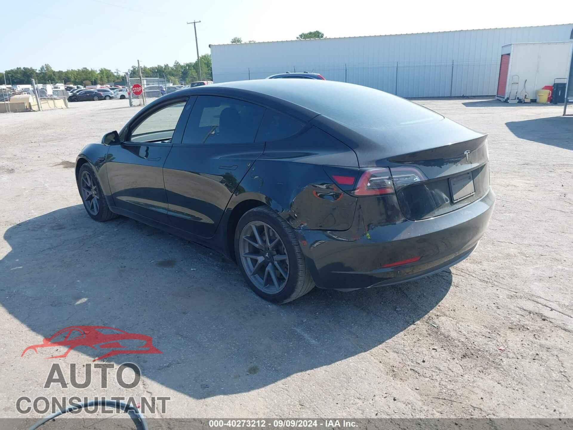 TESLA MODEL 3 2021 - 5YJ3E1EA1MF087131