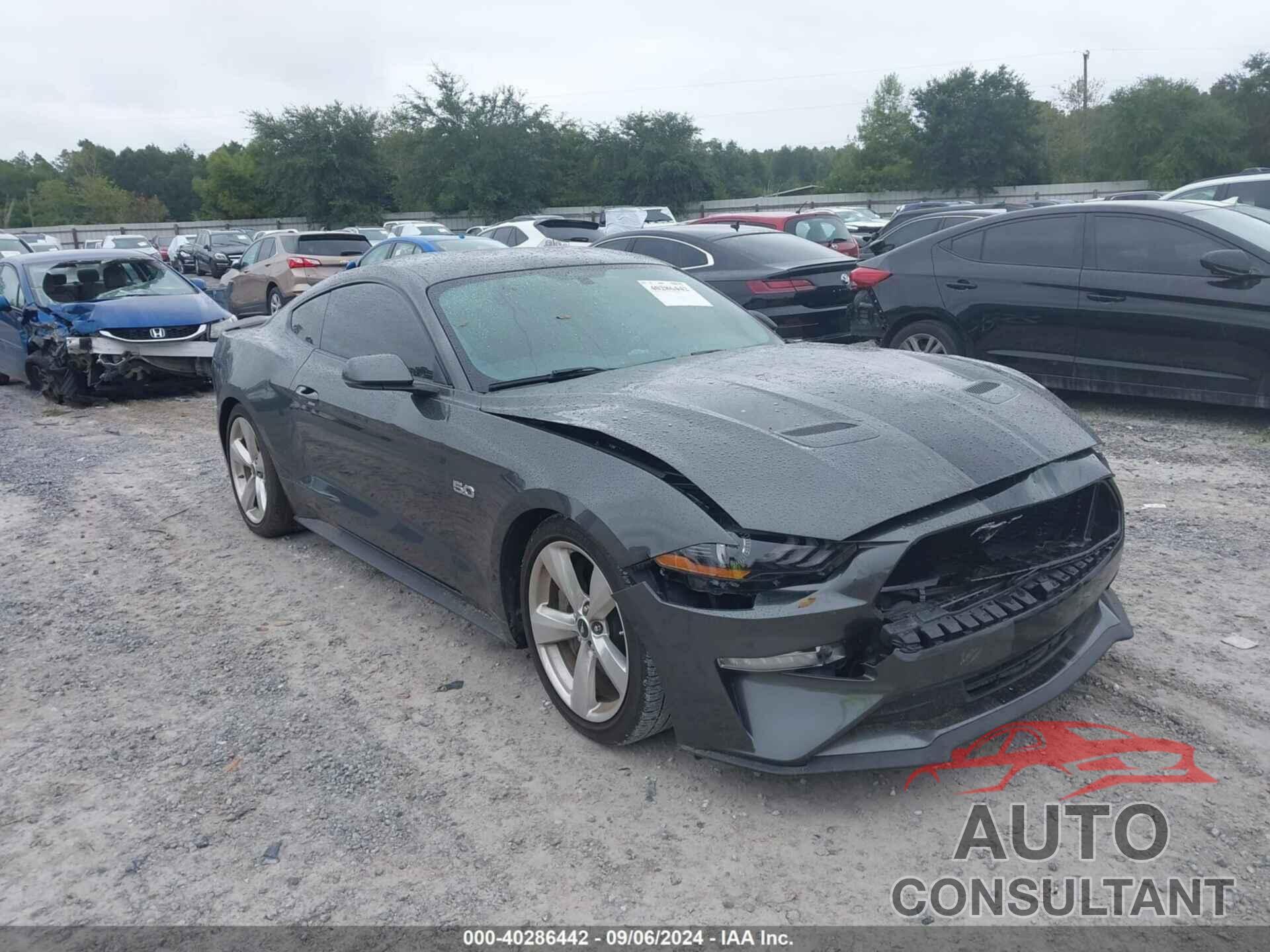 FORD MUSTANG 2019 - 1FA6P8CF8K5163608