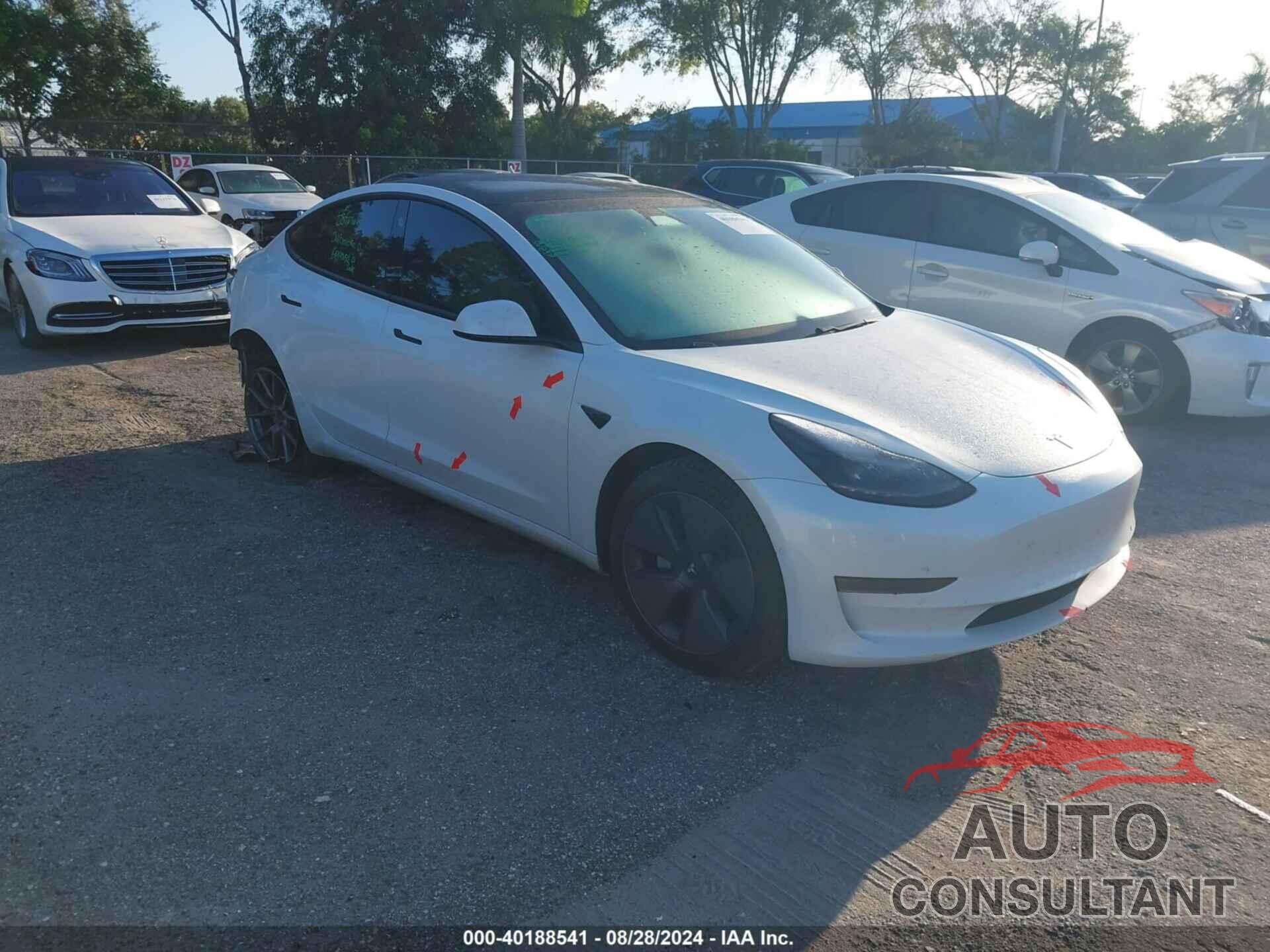 TESLA MODEL 3 2021 - 5YJ3E1EA2MF082438