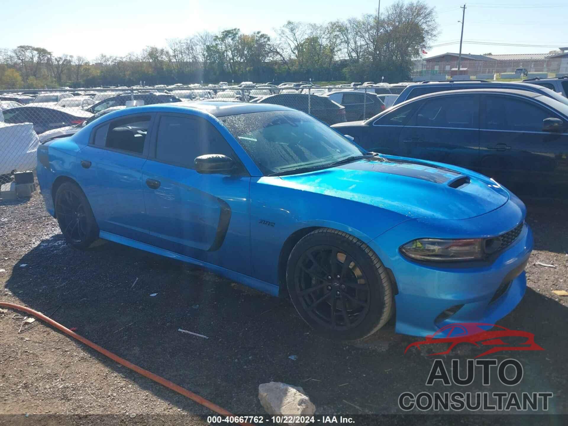 DODGE CHARGER 2019 - 2C3CDXGJ2KH740290