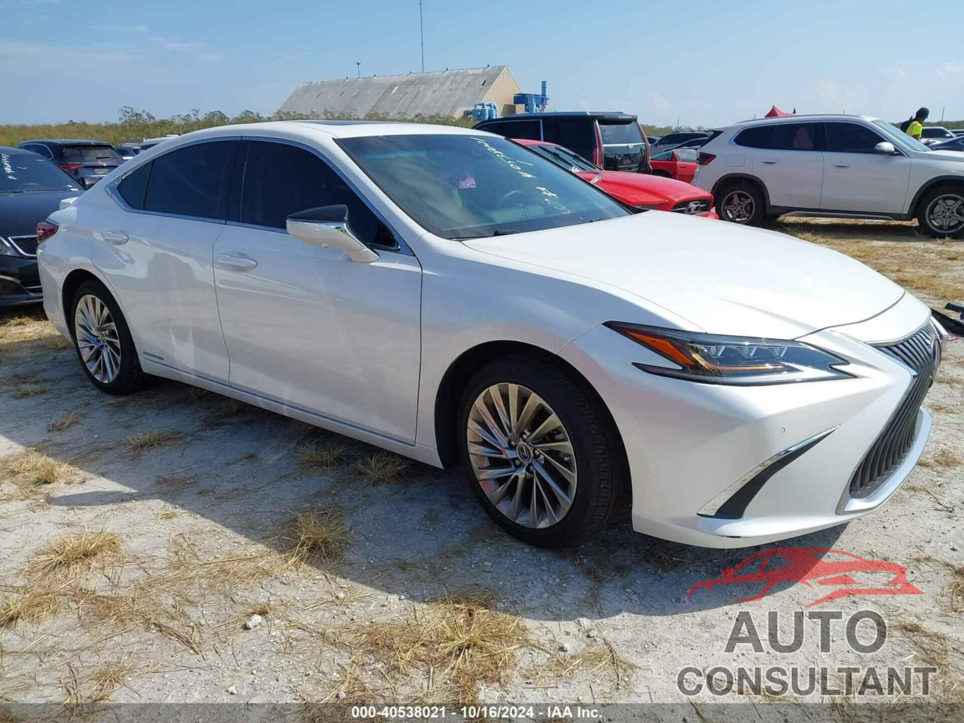 LEXUS ES 300H 2021 - 58AFA1C13MU010462