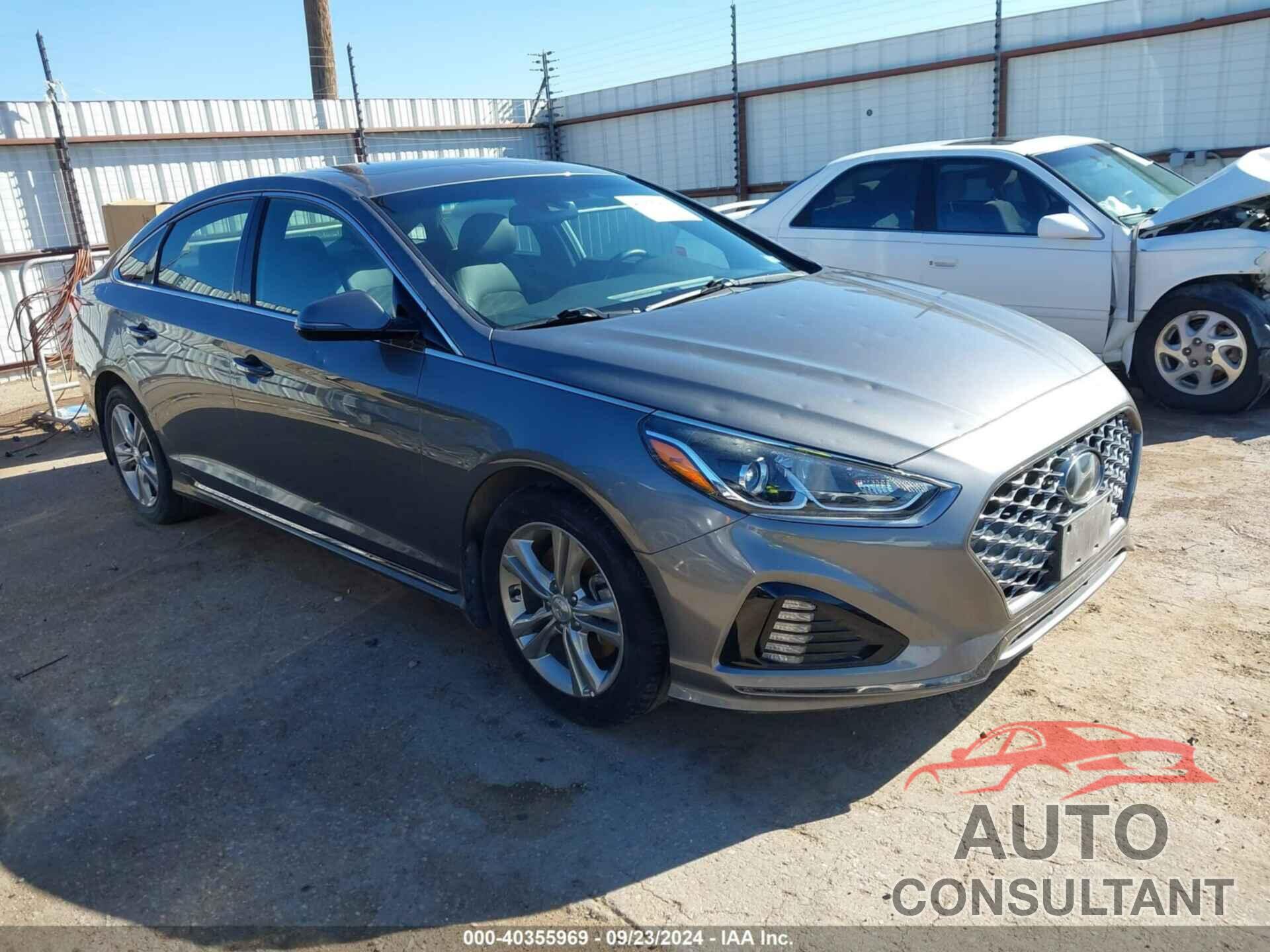 HYUNDAI SONATA 2019 - 5NPE34AF5KH773124