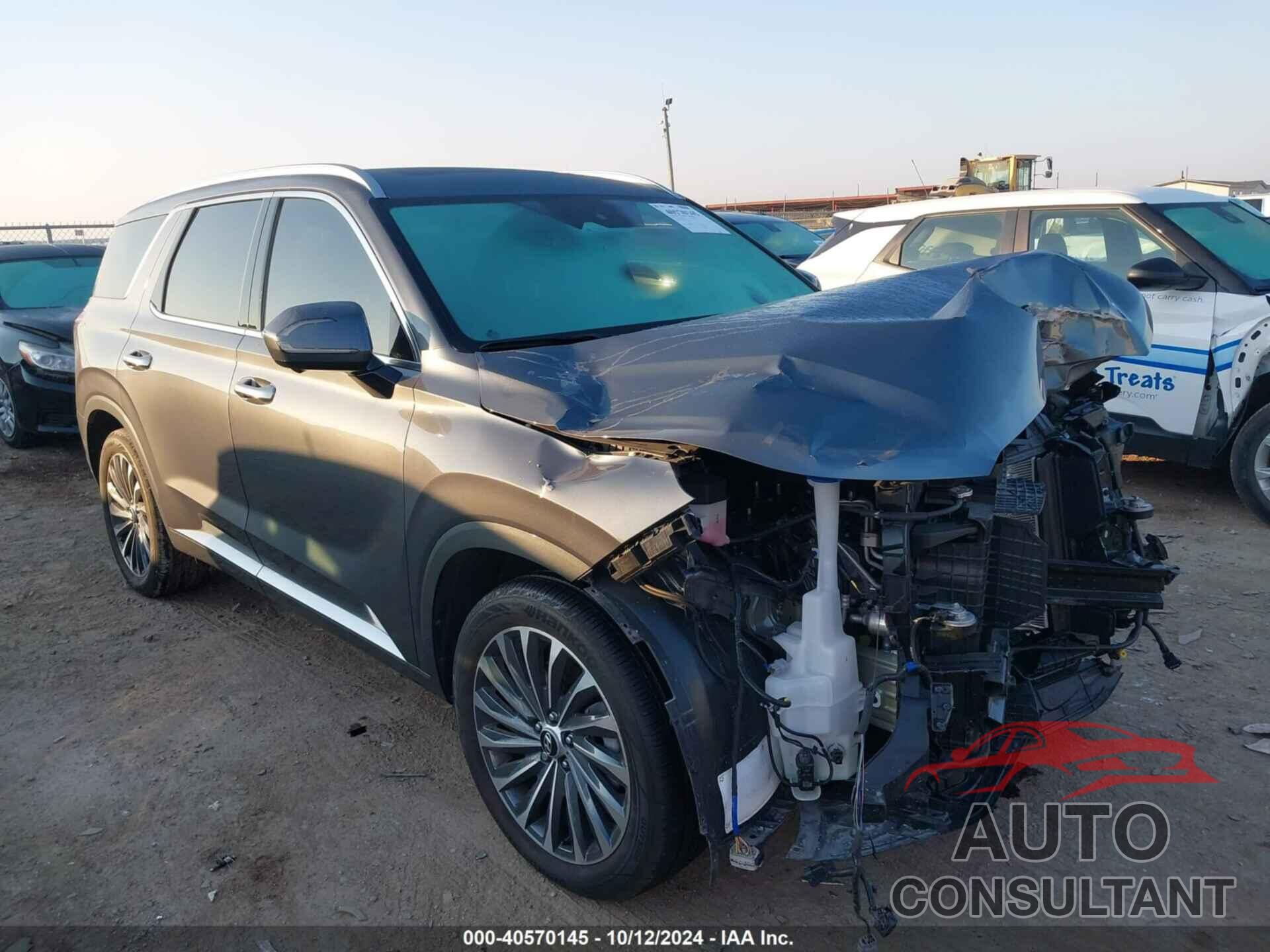 HYUNDAI PALISADE 2024 - KM8R74GE3RU793257