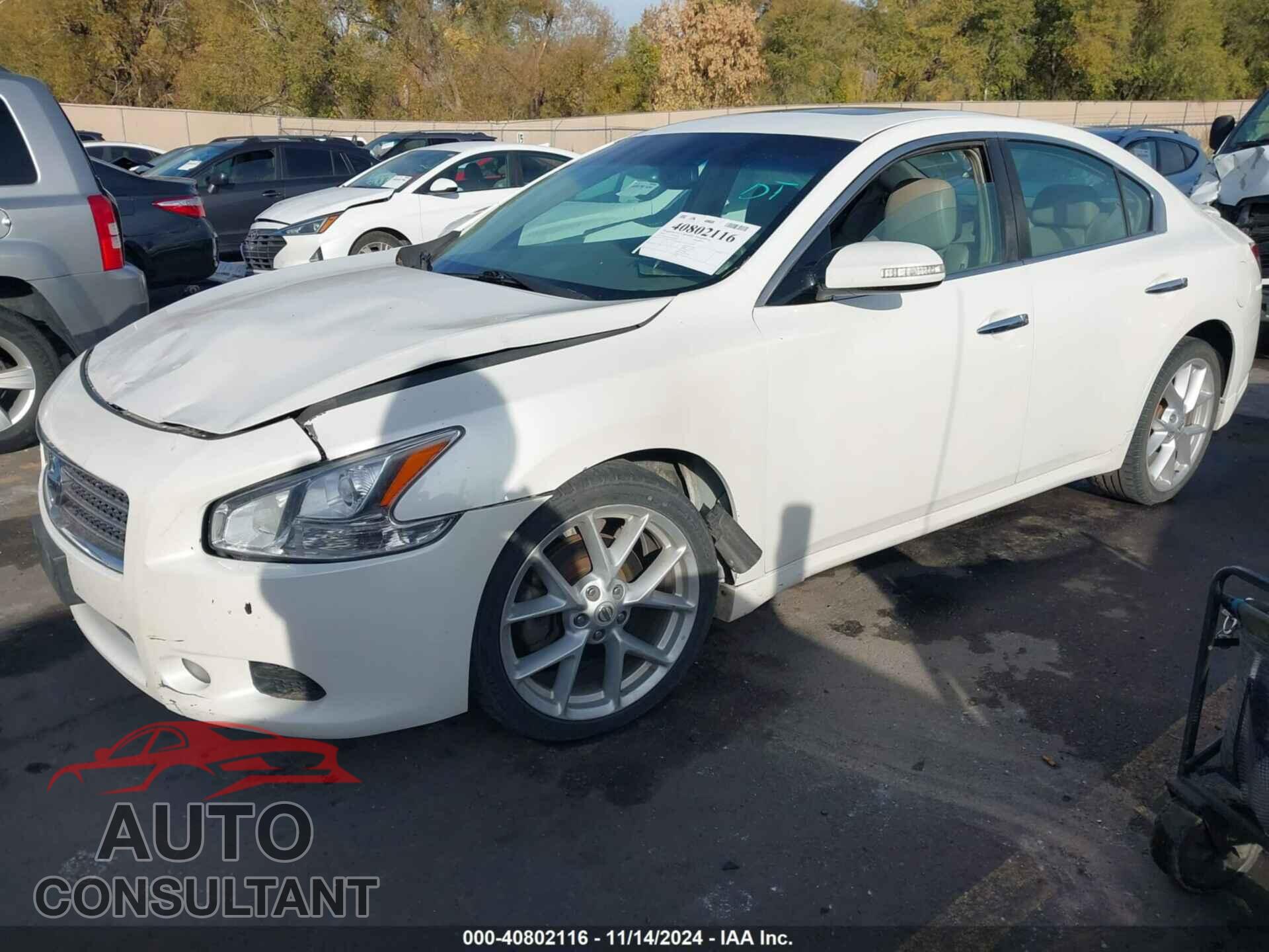 NISSAN MAXIMA 2009 - 1N4AA51E69C802448