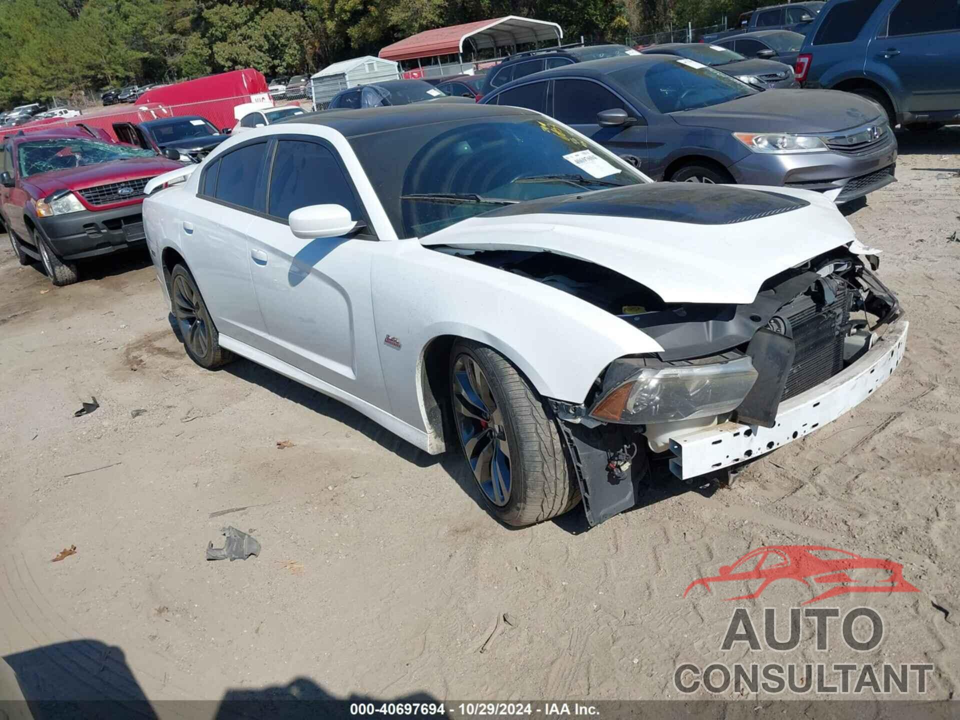 DODGE CHARGER 2013 - 2C3CDXEJ1DH696854