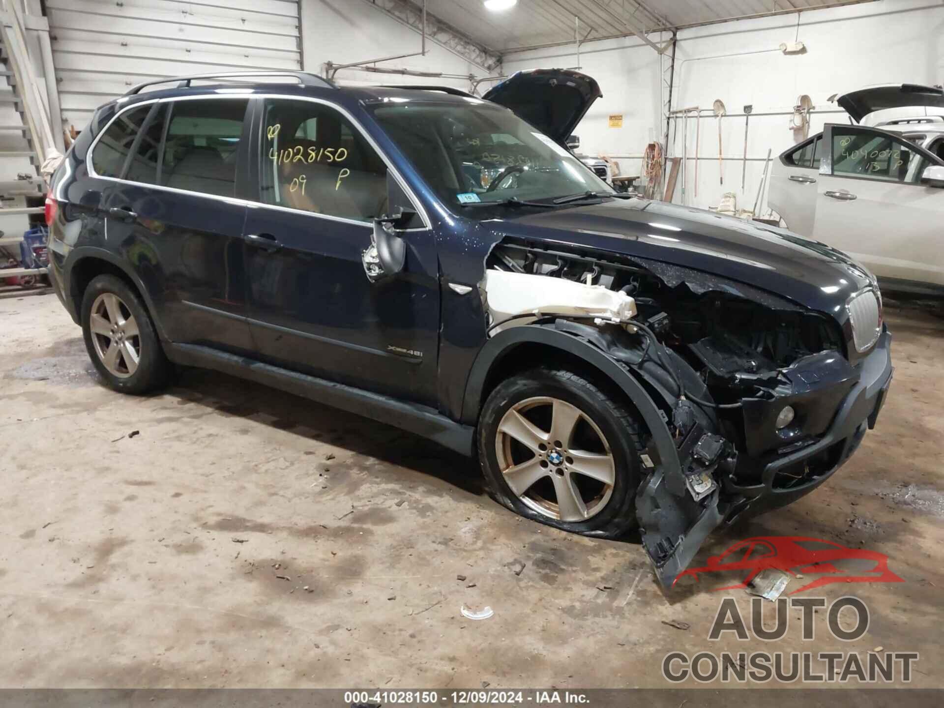 BMW X5 2009 - 5UXFE83589L168741
