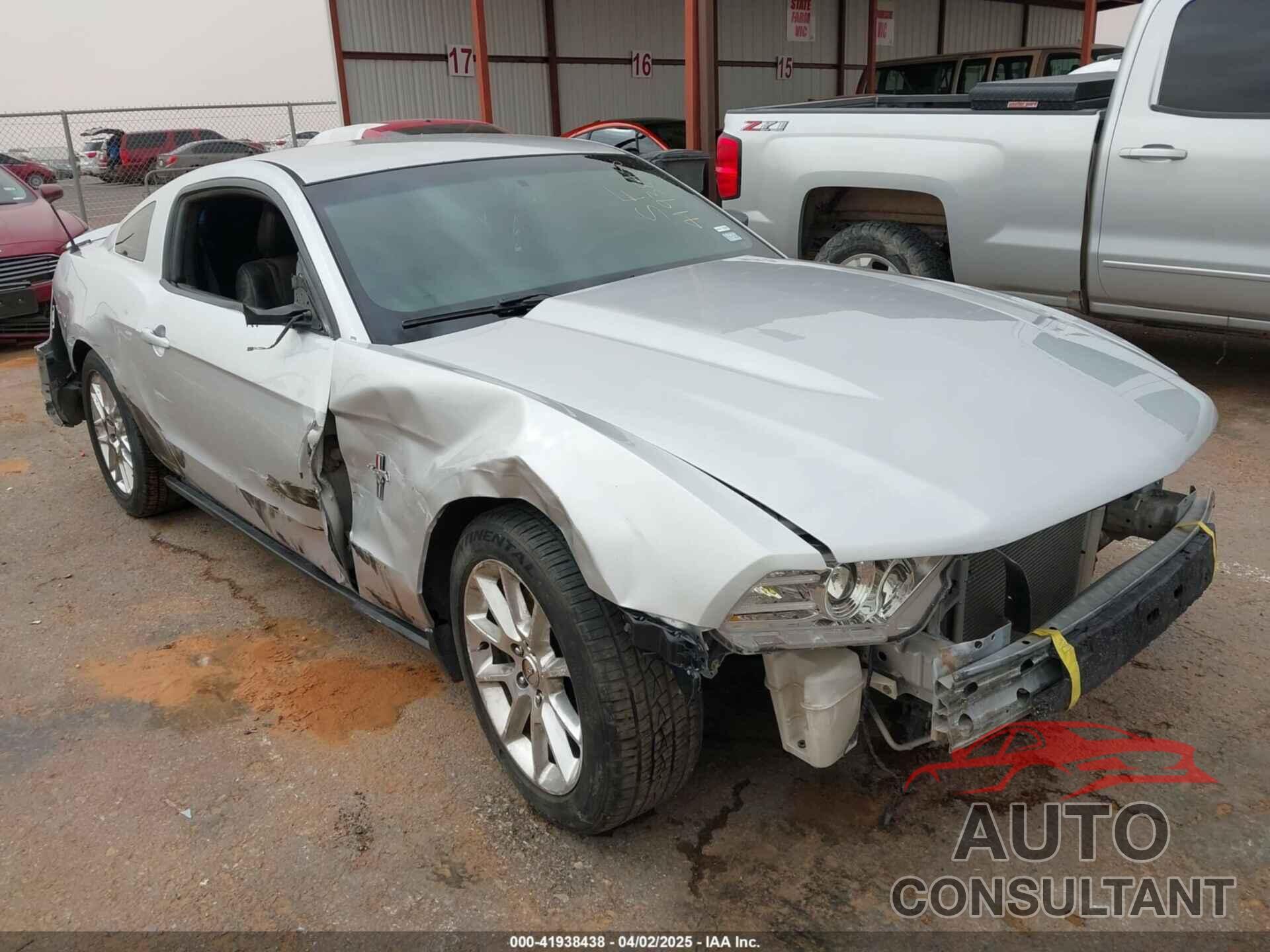 FORD MUSTANG 2011 - 1ZVBP8AMXB5142041
