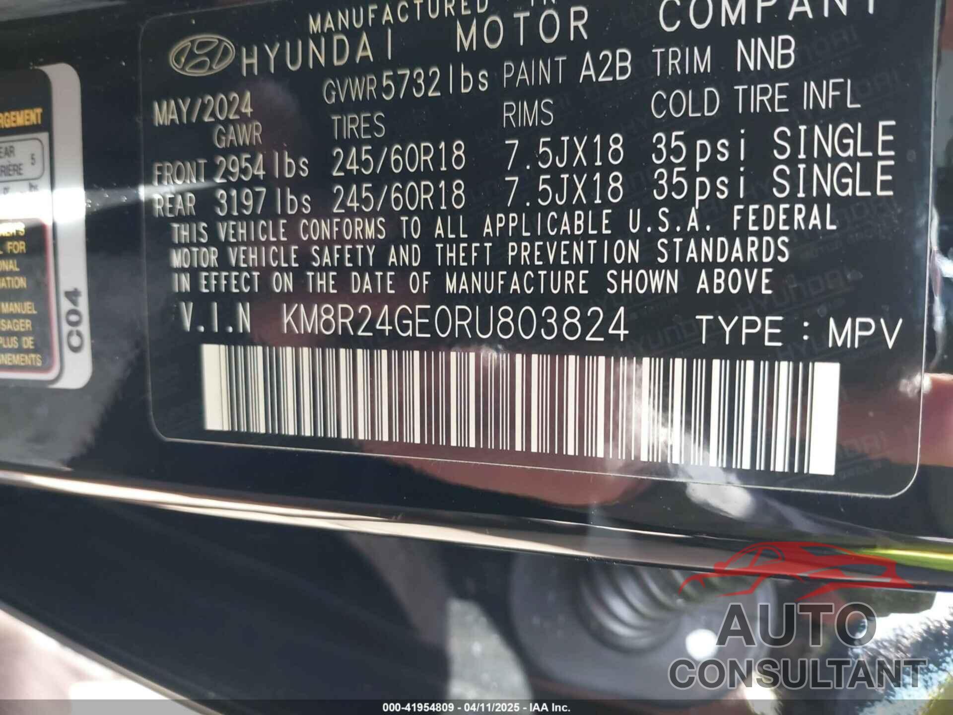 HYUNDAI PALISADE 2024 - KM8R24GE0RU803824