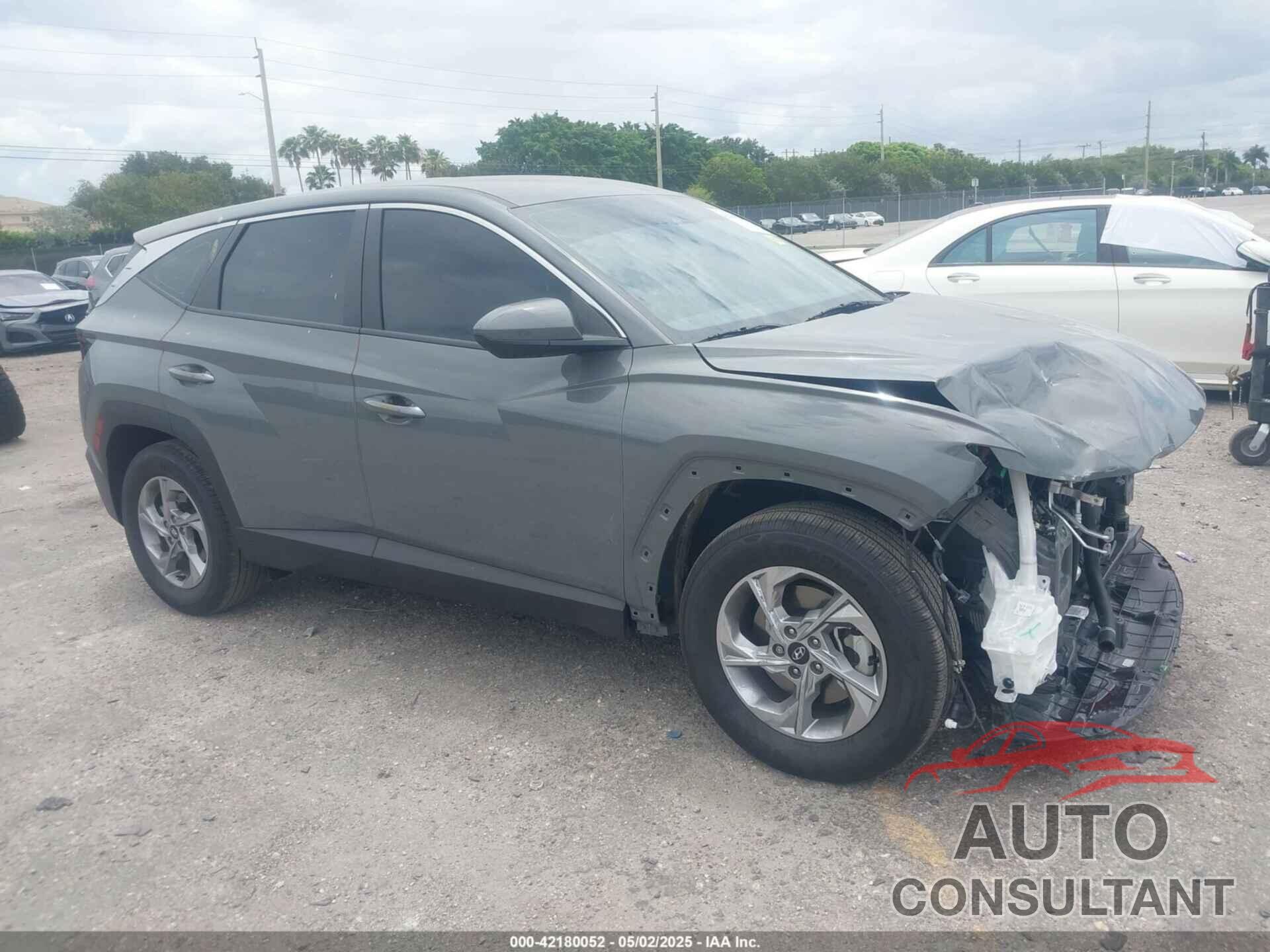 HYUNDAI TUCSON 2024 - 5NMJA3DE8RH374989