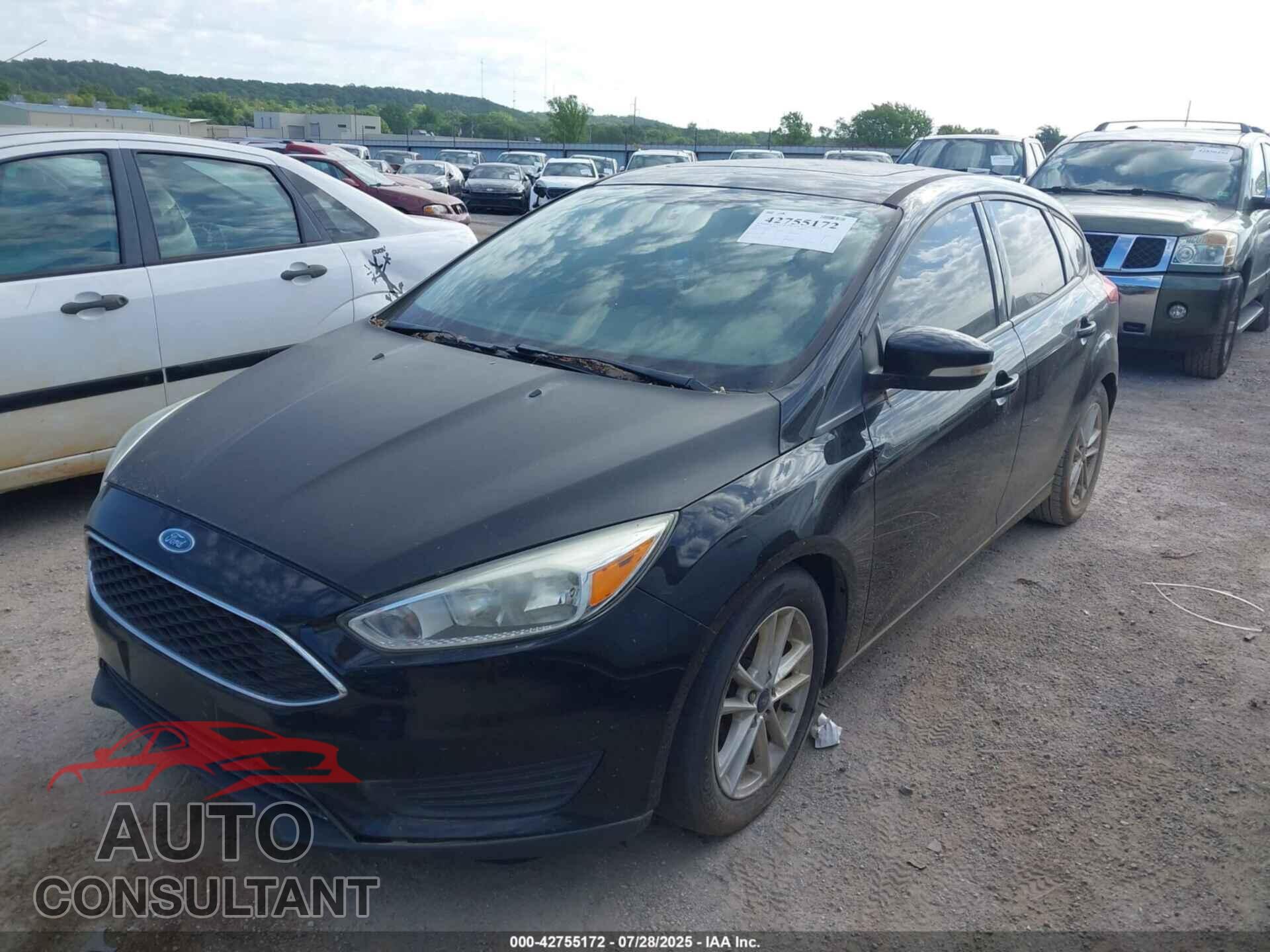 FORD FOCUS 2016 - 1FADP3K20GL352457