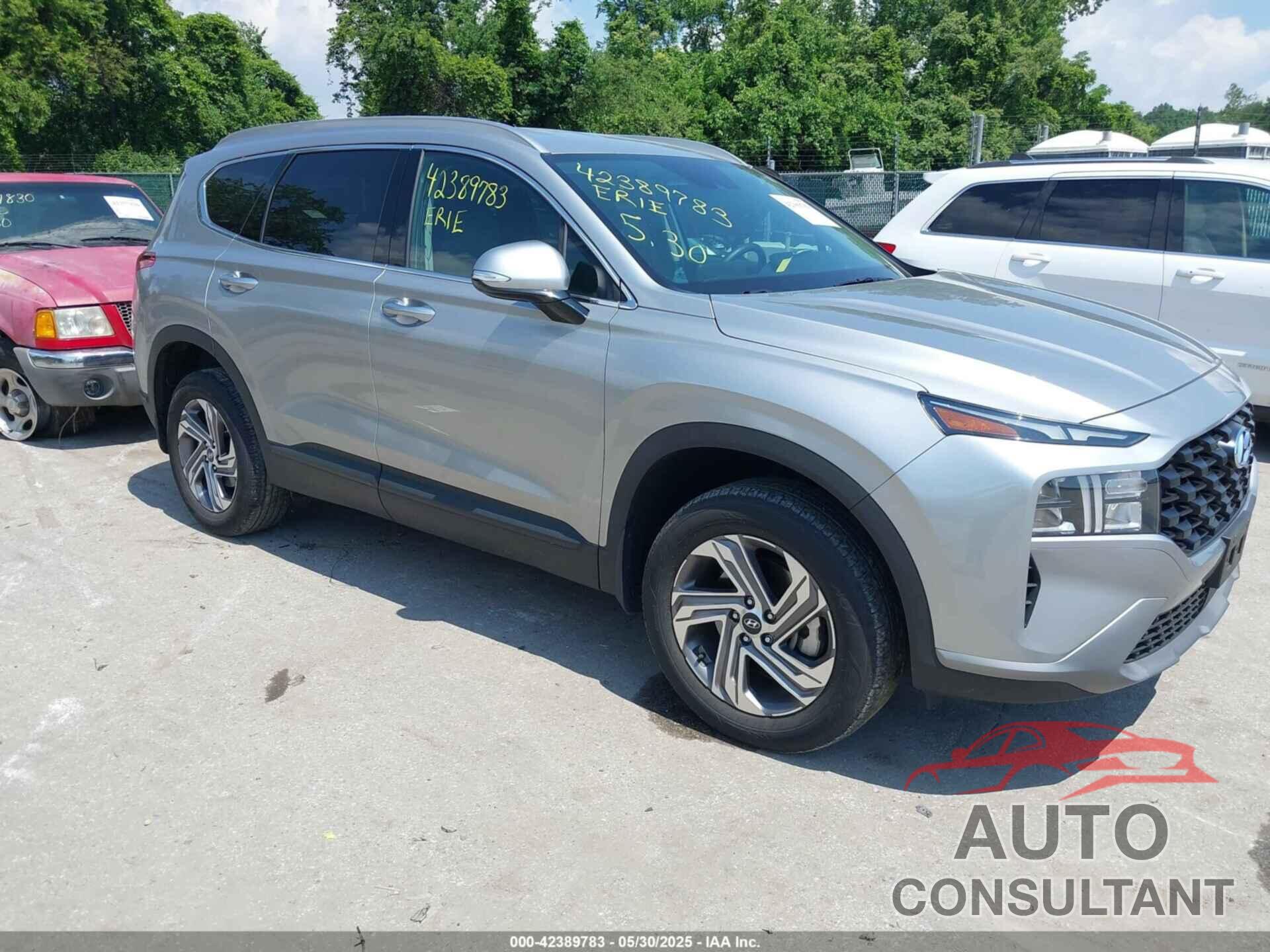 HYUNDAI SANTA FE 2023 - 5NMS2DAJ6PH652522
