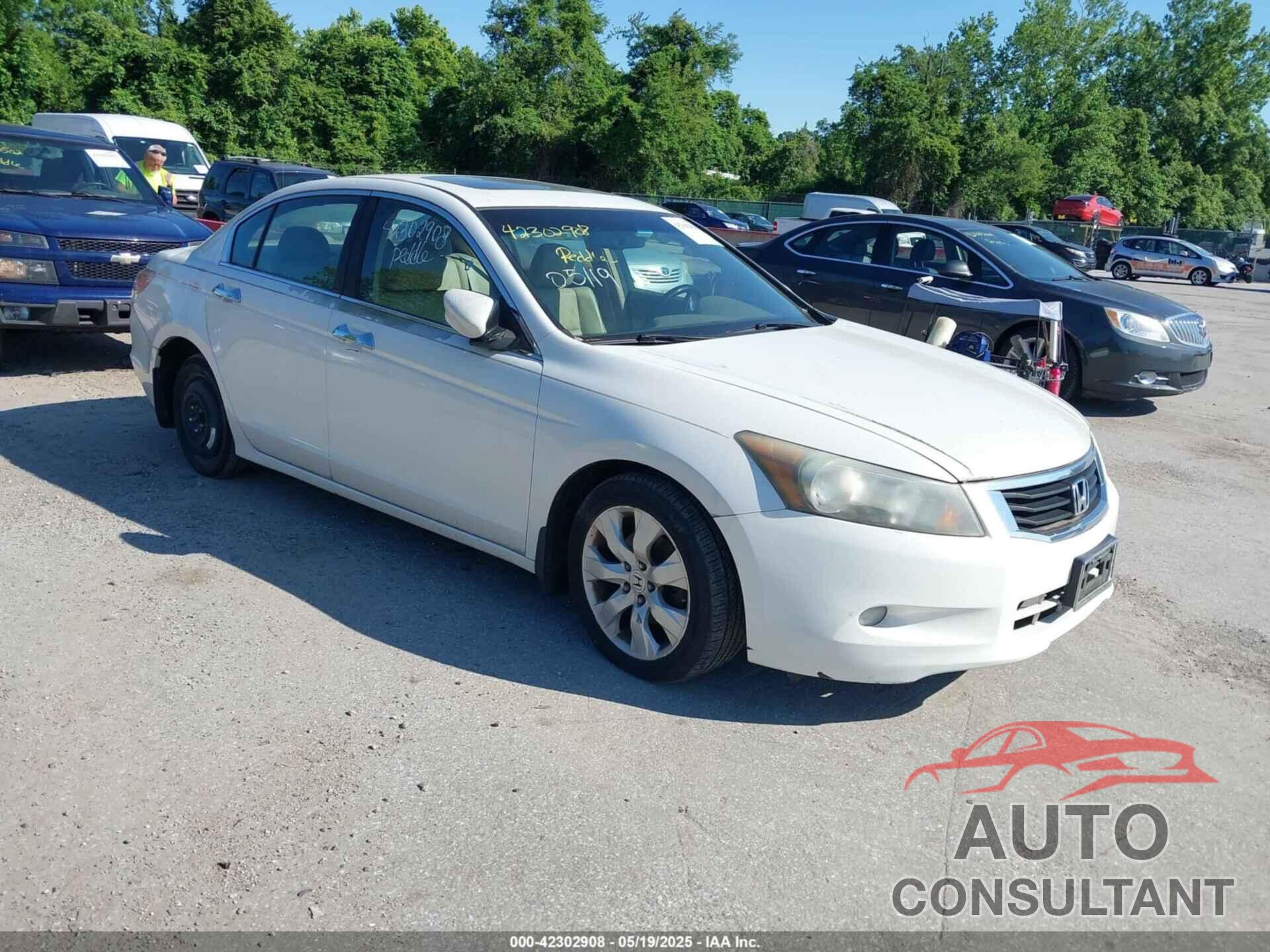 HONDA ACCORD 2010 - 5KBCP3F86AB012827