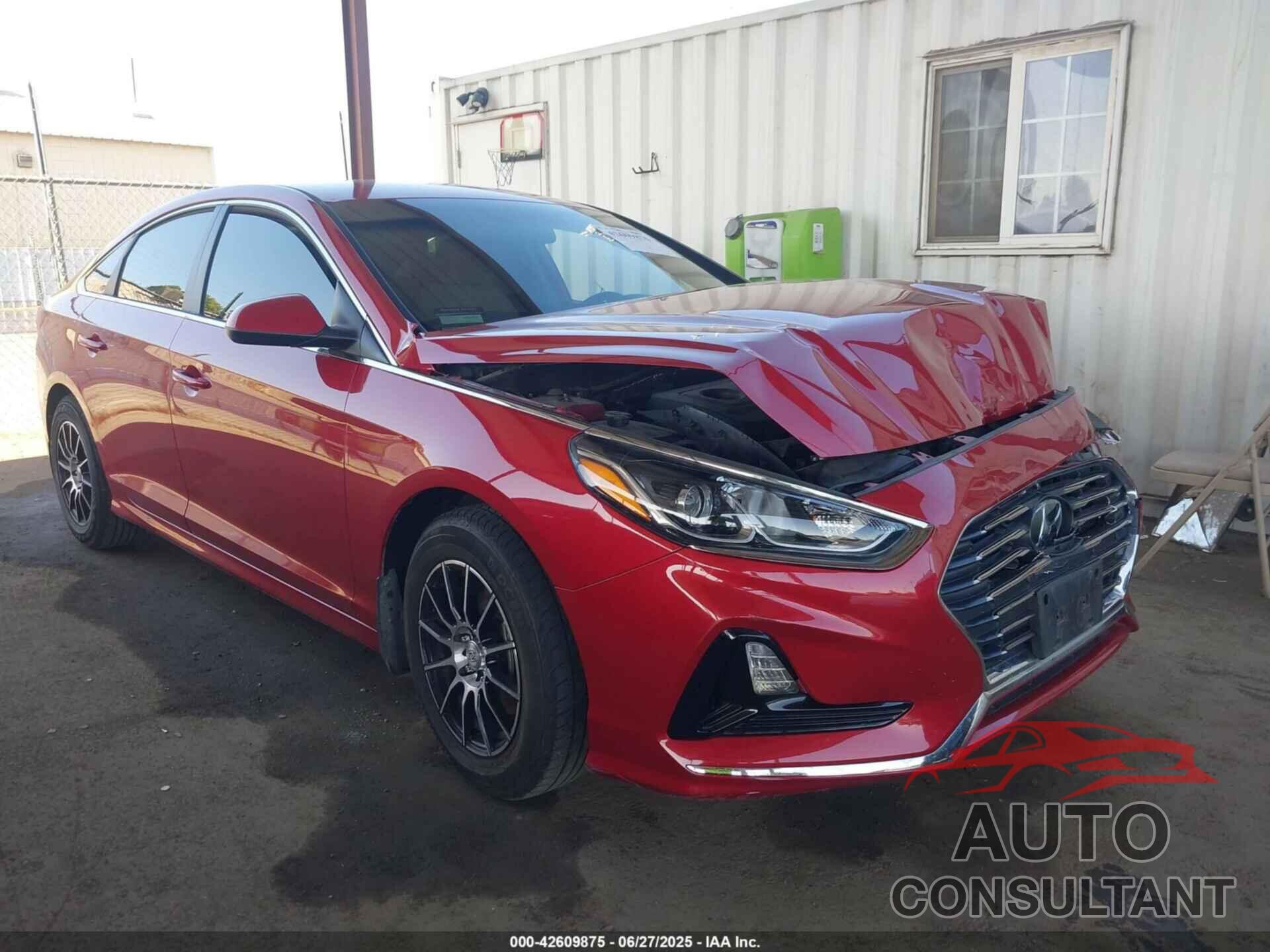 HYUNDAI SONATA 2019 - 5NPE24AFXKH816195