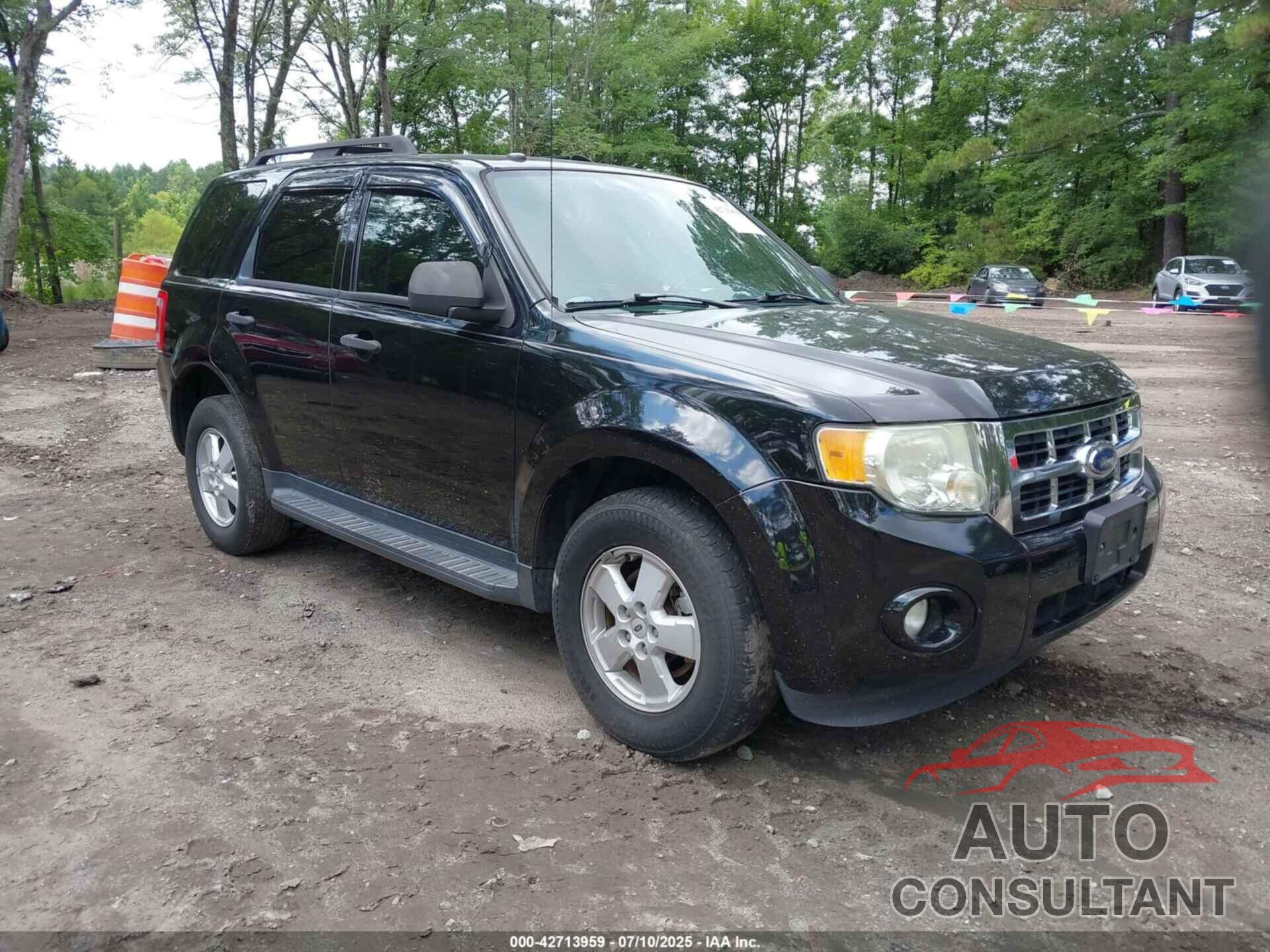 FORD ESCAPE 2010 - 1FMCU0D7XAKA13462