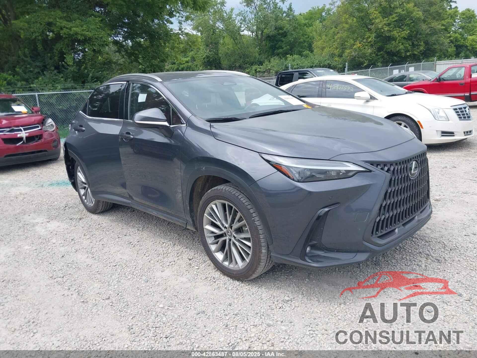 LEXUS NX 350 2022 - JTJGGCEZ5N2002922