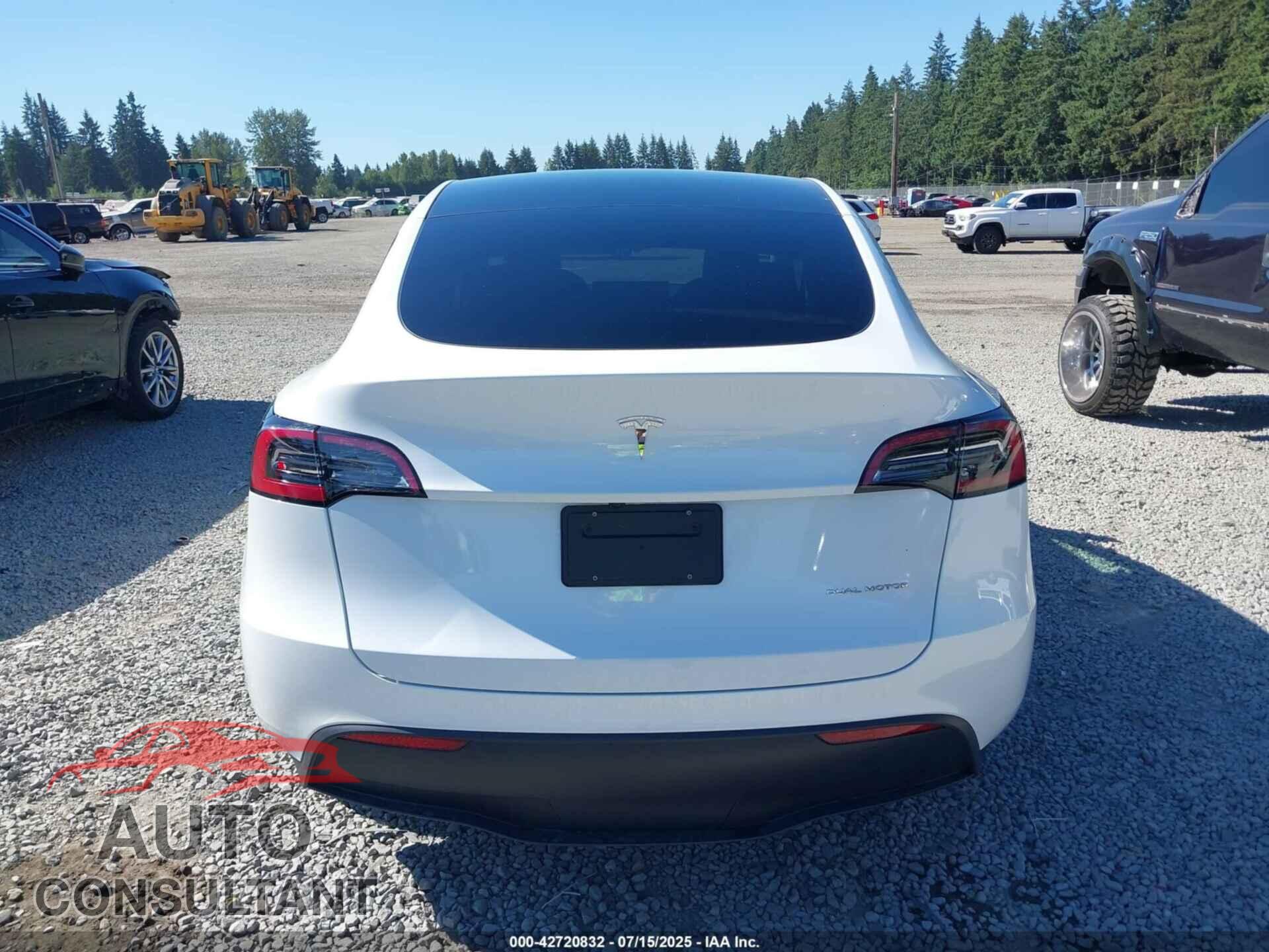 TESLA MODEL Y 2024 - 7SAYGDEEXRF164237