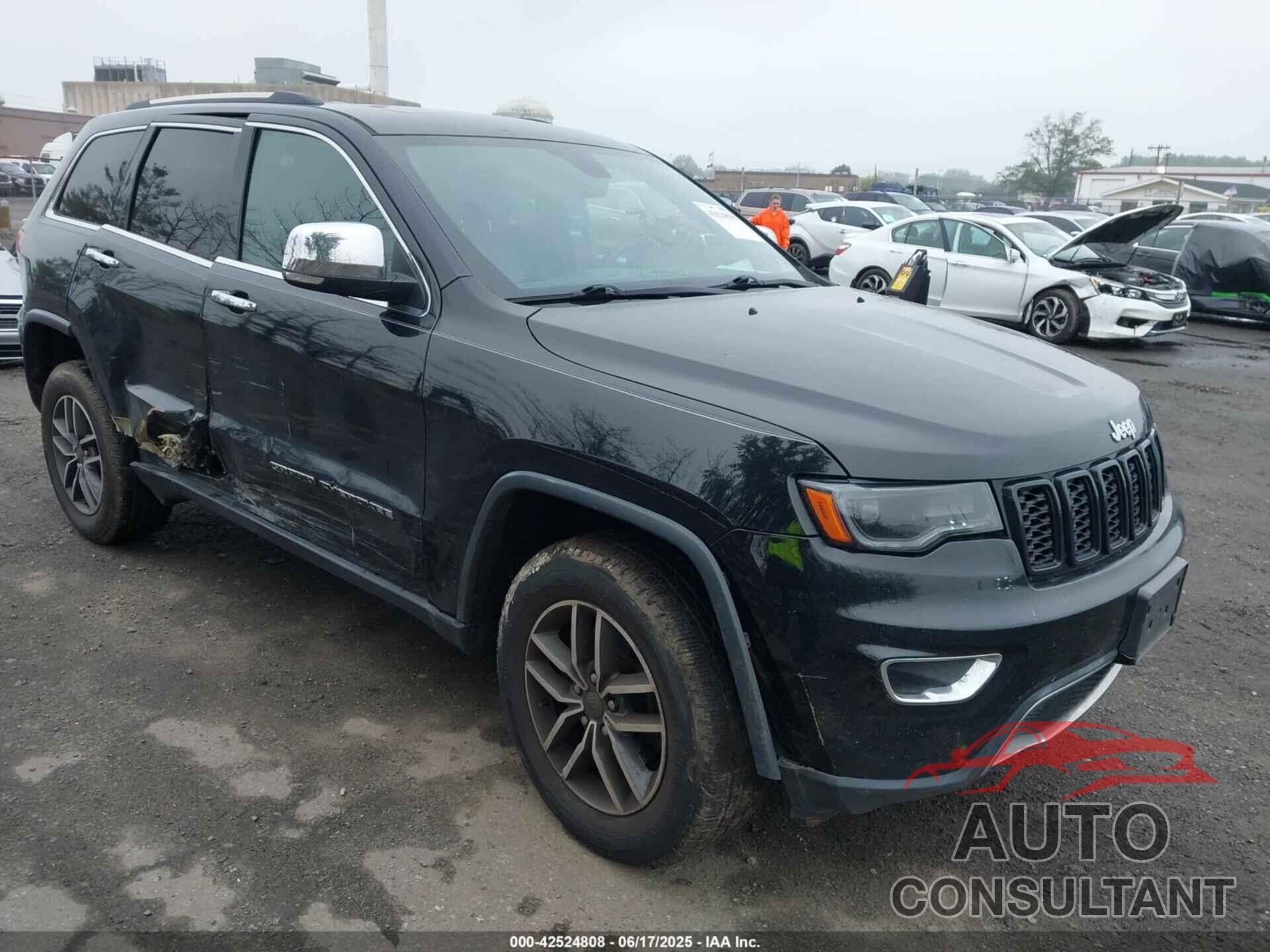 JEEP GRAND CHEROKEE 2019 - 1C4RJFBG1KC730308