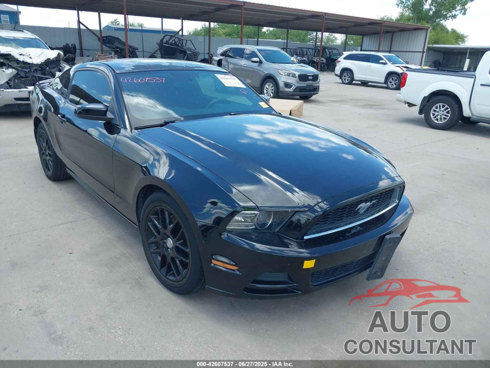FORD MUSTANG 2014 - 1ZVBP8AM9E5295367