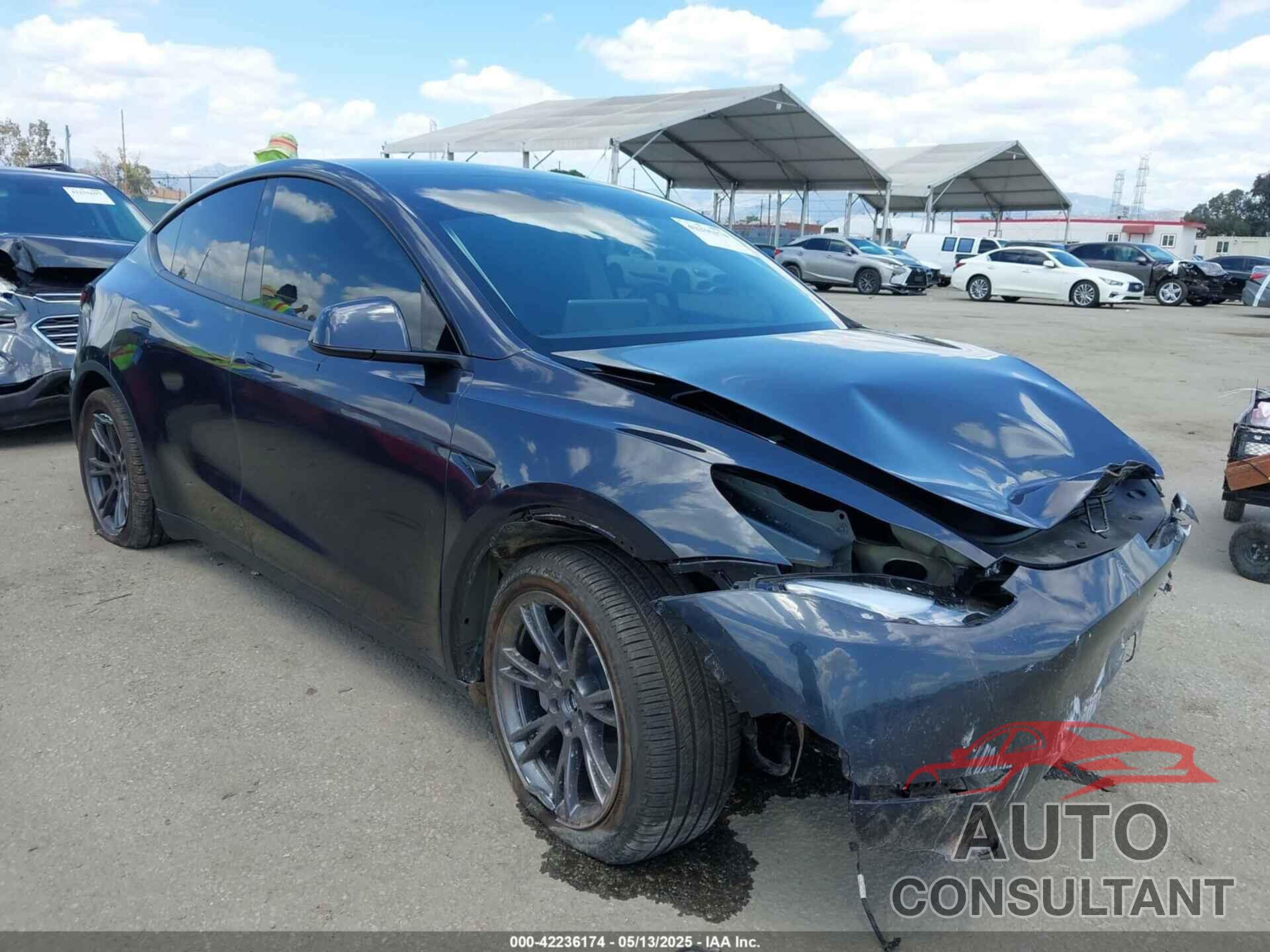 TESLA MODEL Y 2025 - 7SAYGDED3SF266685