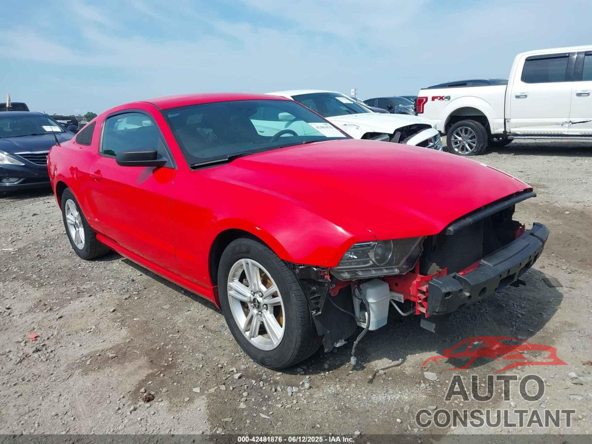 FORD MUSTANG 2014 - 1ZVBP8AM0E5324254